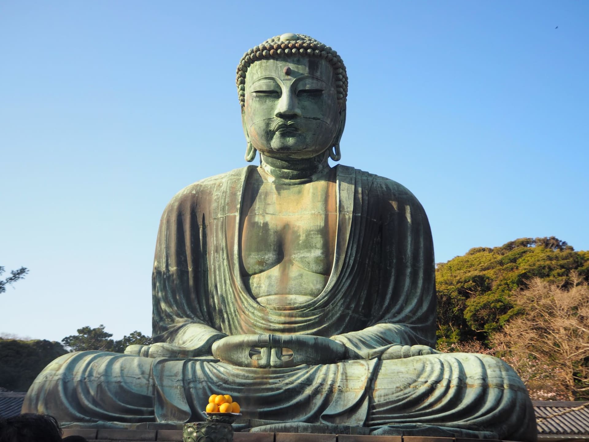 The Great Buddha of Kamakura, a weathered green-bronze seated figure, sitting in the open air with wooded hills behind under a clear sky