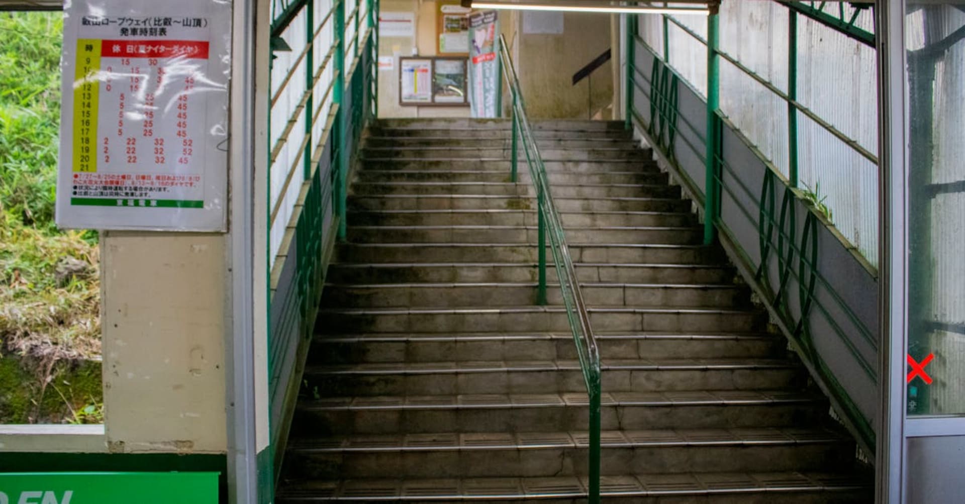 Misty cedar forest along the Kumano Kodo pilgrimage trail