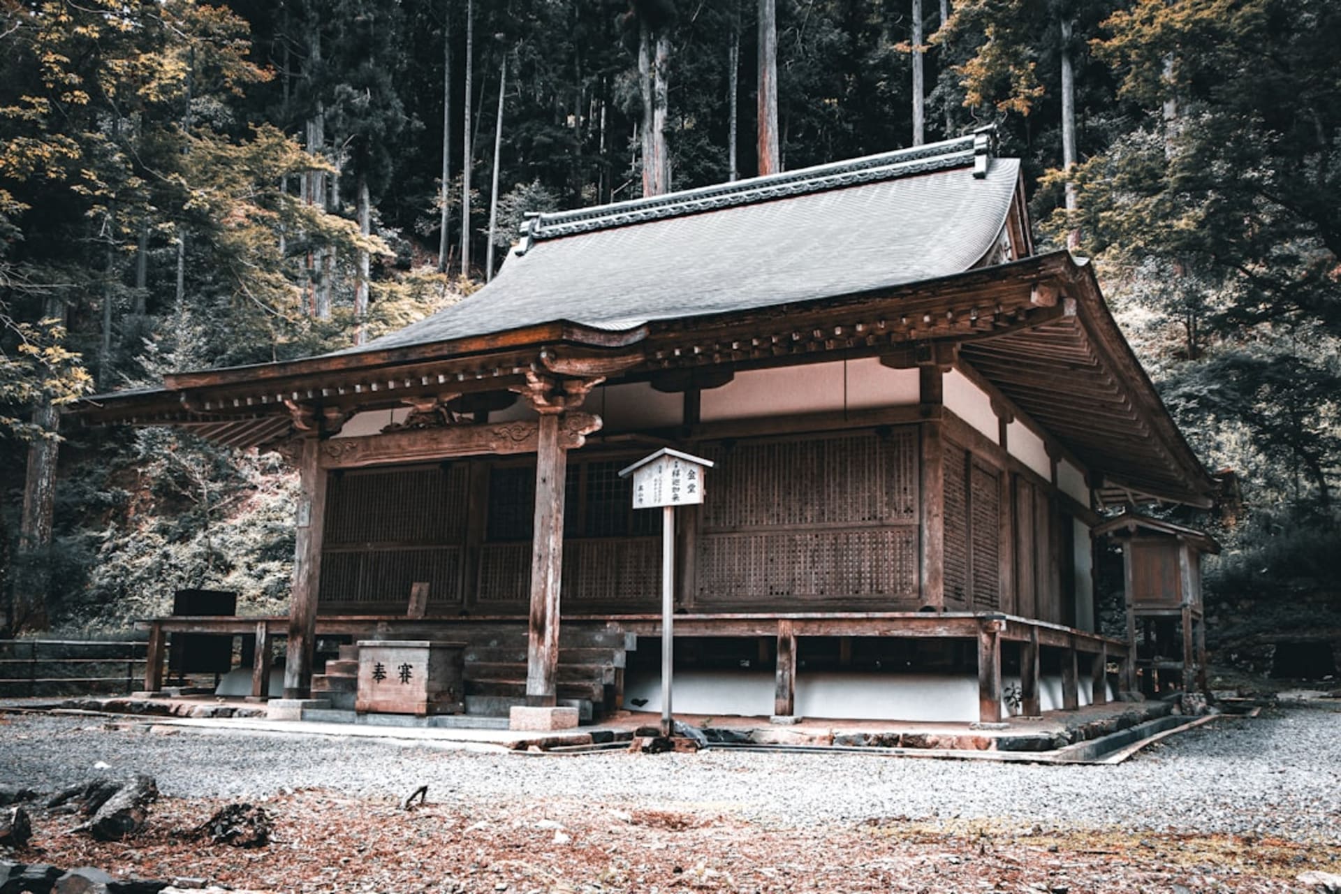 Forested hills rising above the rice fields and old houses of Koka, Shiga