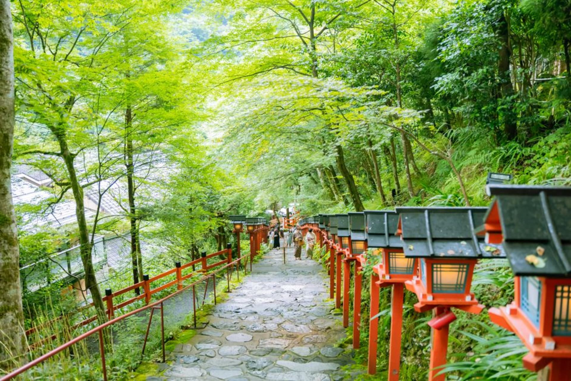 Moss-covered stone steps climbing through a dense cedar forest on the Kumano Kodō