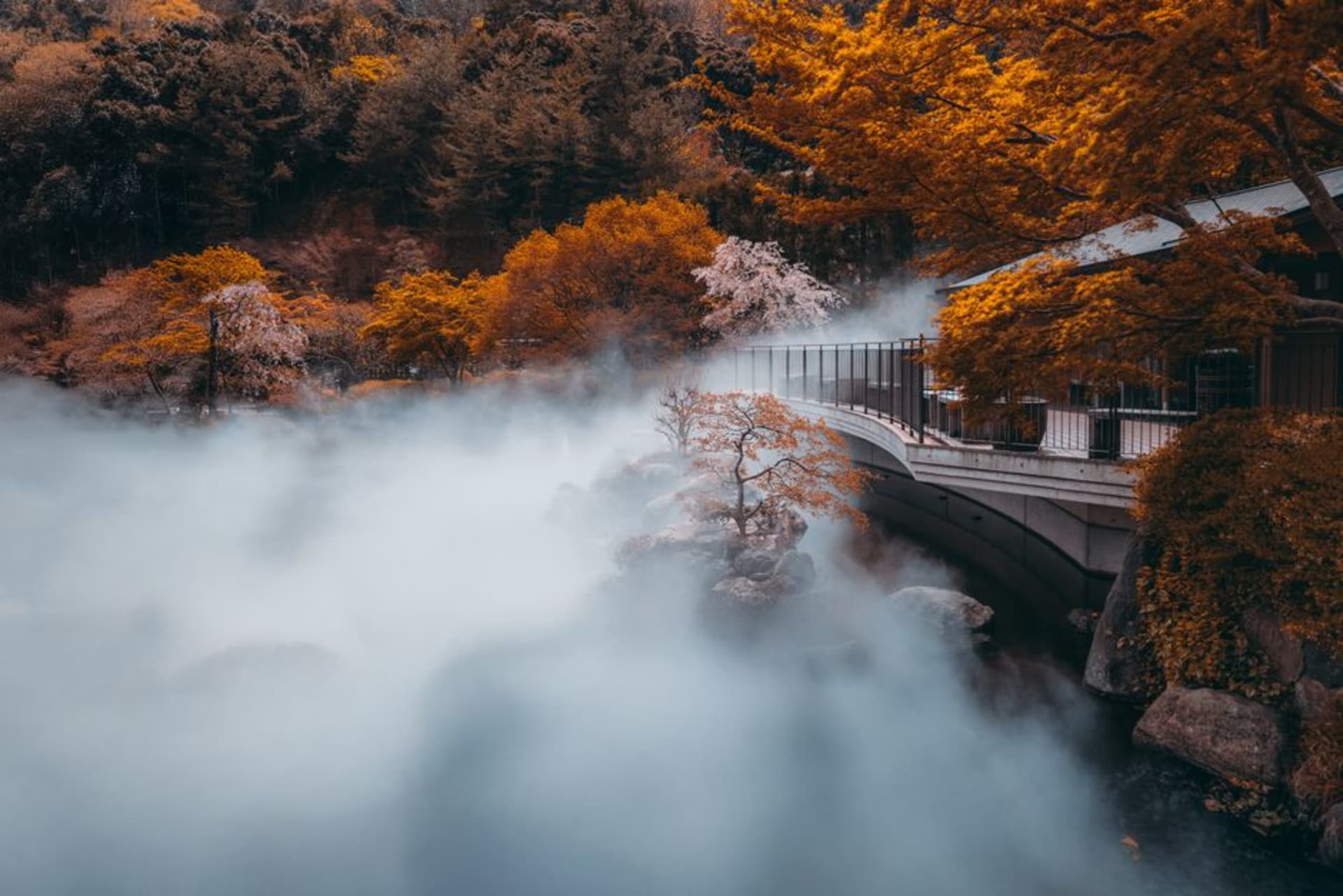 Minoh Waterfall falling in a wide veil over dark rock surrounded by autumn maples