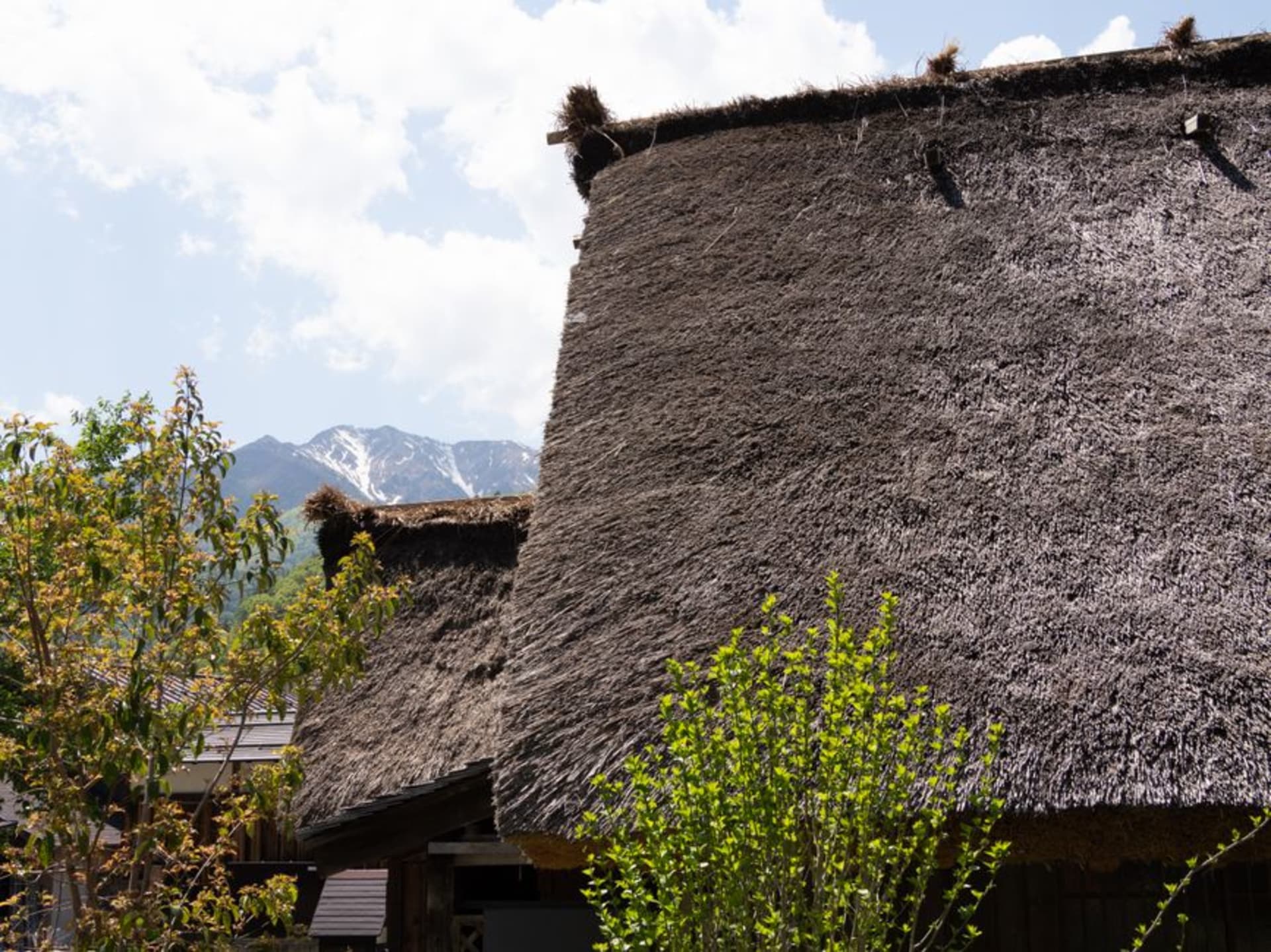 Cluster of steep thatched kayabuki farmhouses in the green hills of Miyama