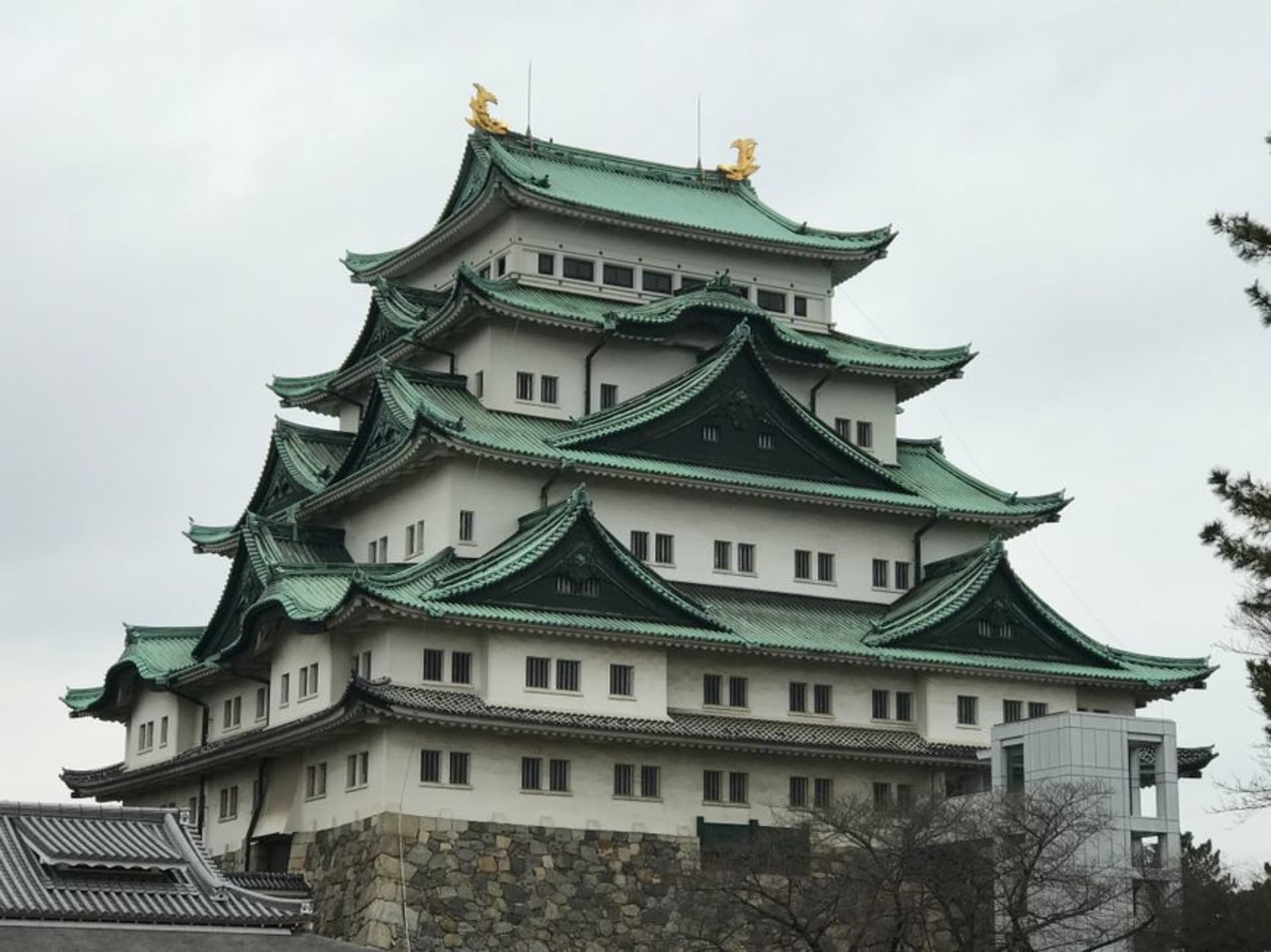 Nagoya Castle's main keep with its golden shachihoko fish ornaments gleaming on the roof ridge against a bright sky