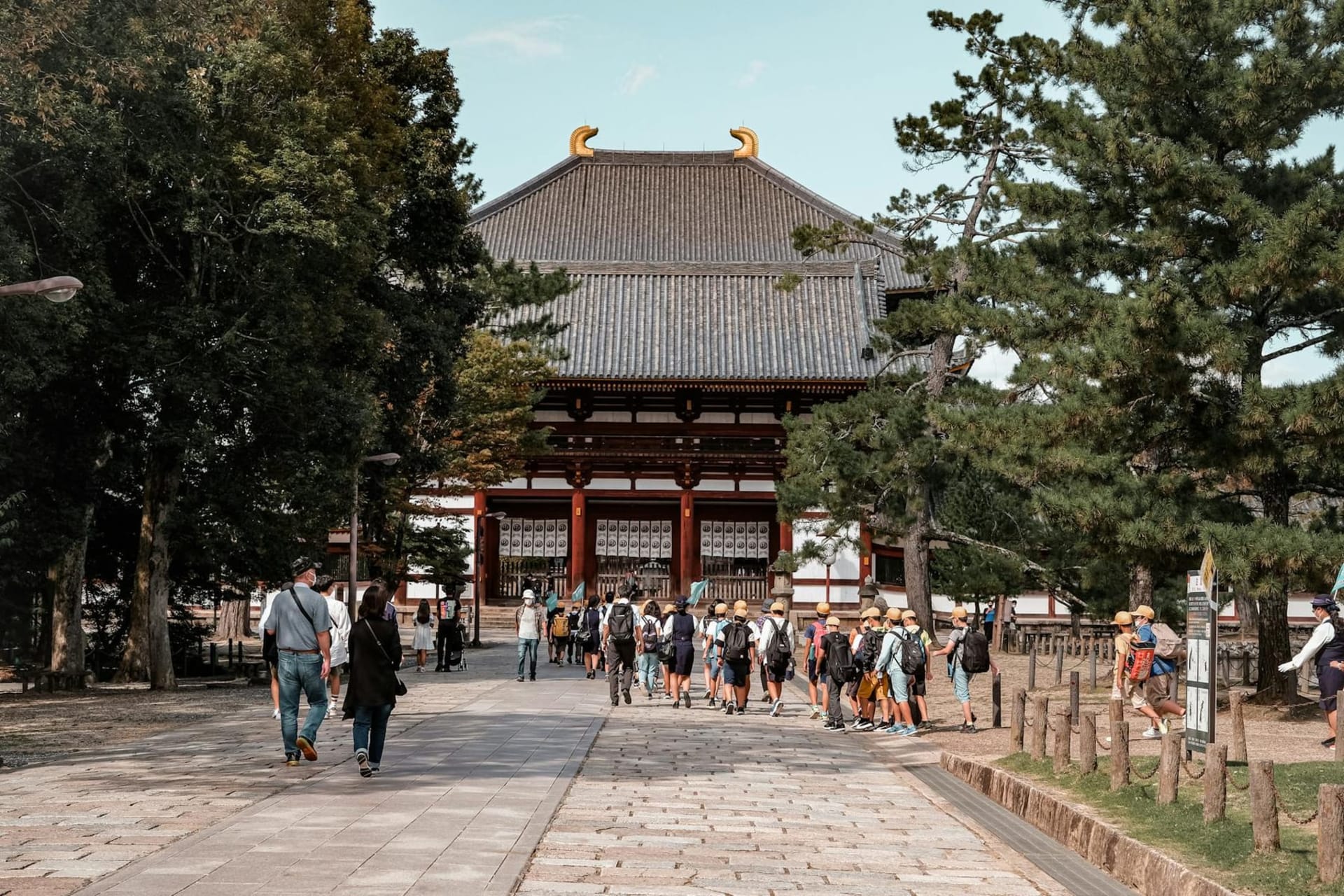 A sika deer standing calmly on a stone-paved path in Nara Park, with the vermilion gate of Kasuga Taisha shrine visible through cedar trees in the background