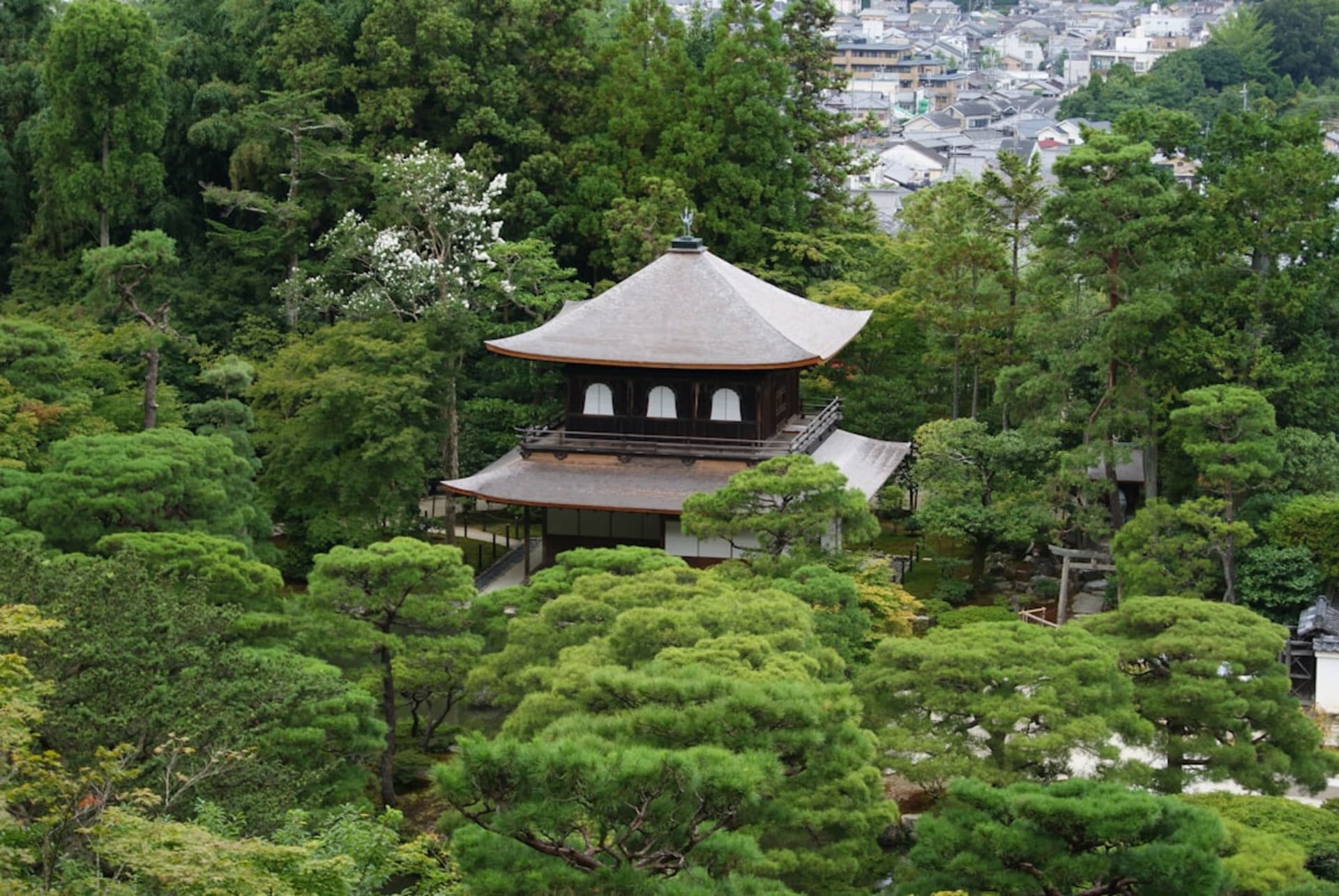 Moss-covered temple garden with autumn maples at Sanzen-in in Ohara