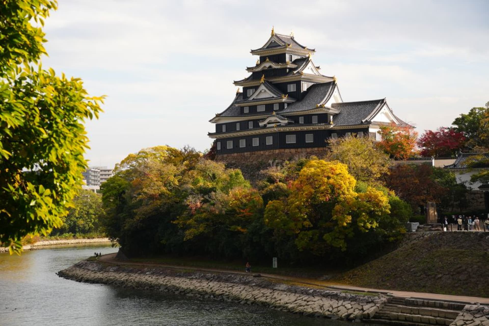 Kōraku-en garden in Okayama with wide green lawns and clipped pines, the black Okayama Castle rising beyond the trees under a bright sky