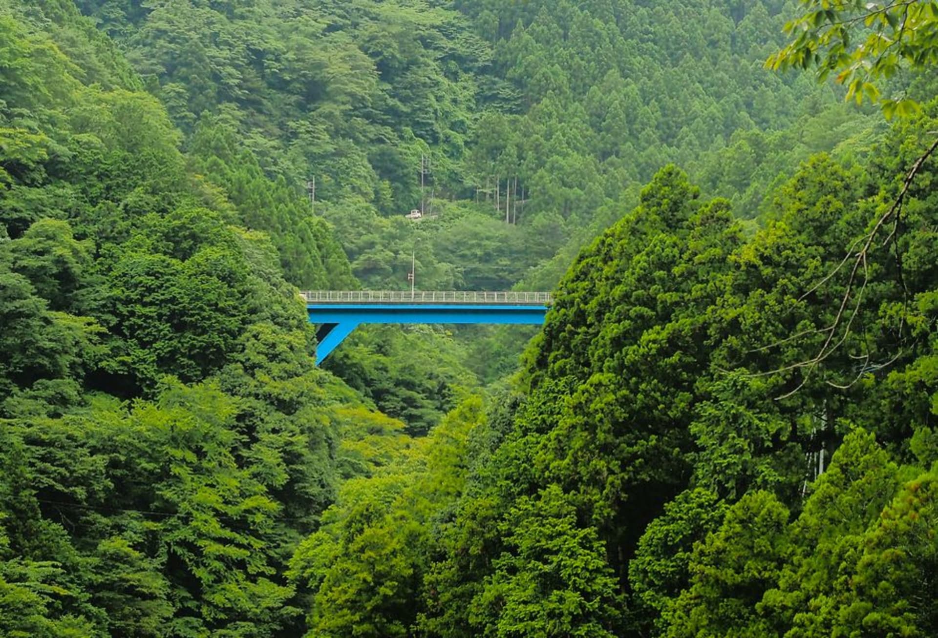 Lake Okutama reservoir ringed by forested mountains under a pale sky