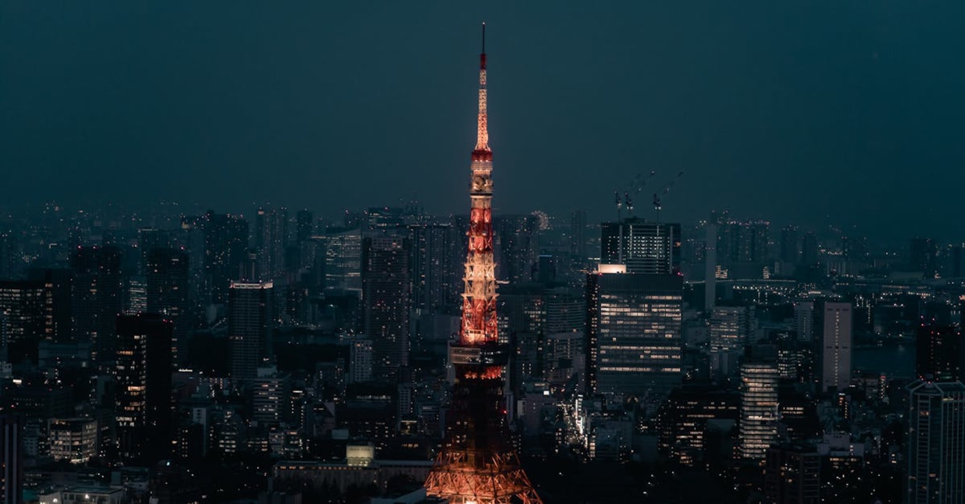 Neon-lit streets of Shinjuku at night with crowds and signage
