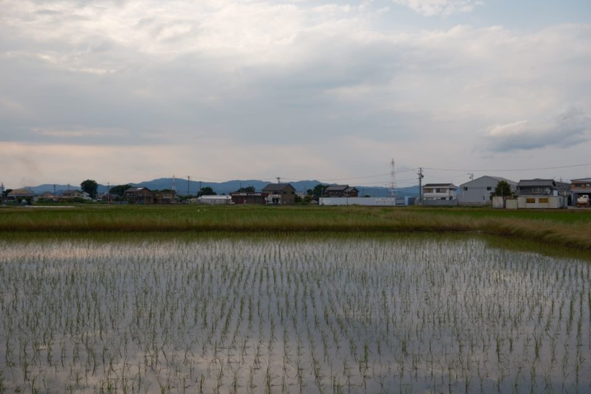 Misty rice paddies and forested hills in the Tōno valley, rural Iwate