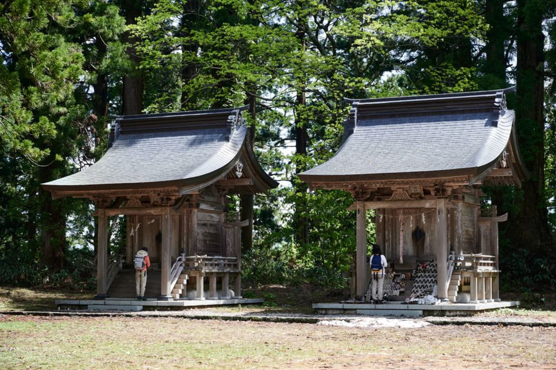 The wooden five-storey pagoda of Mount Haguro standing among towering cedars in the forest near Tsuruoka