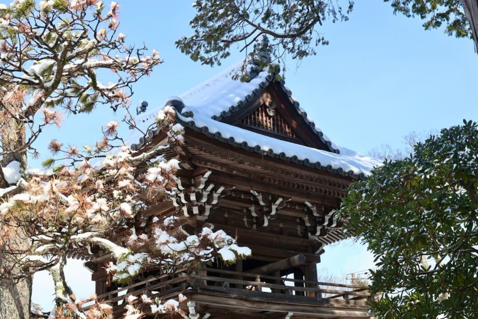 Snow settling over the pine-ringed moat of Uesugi Shrine in Yonezawa