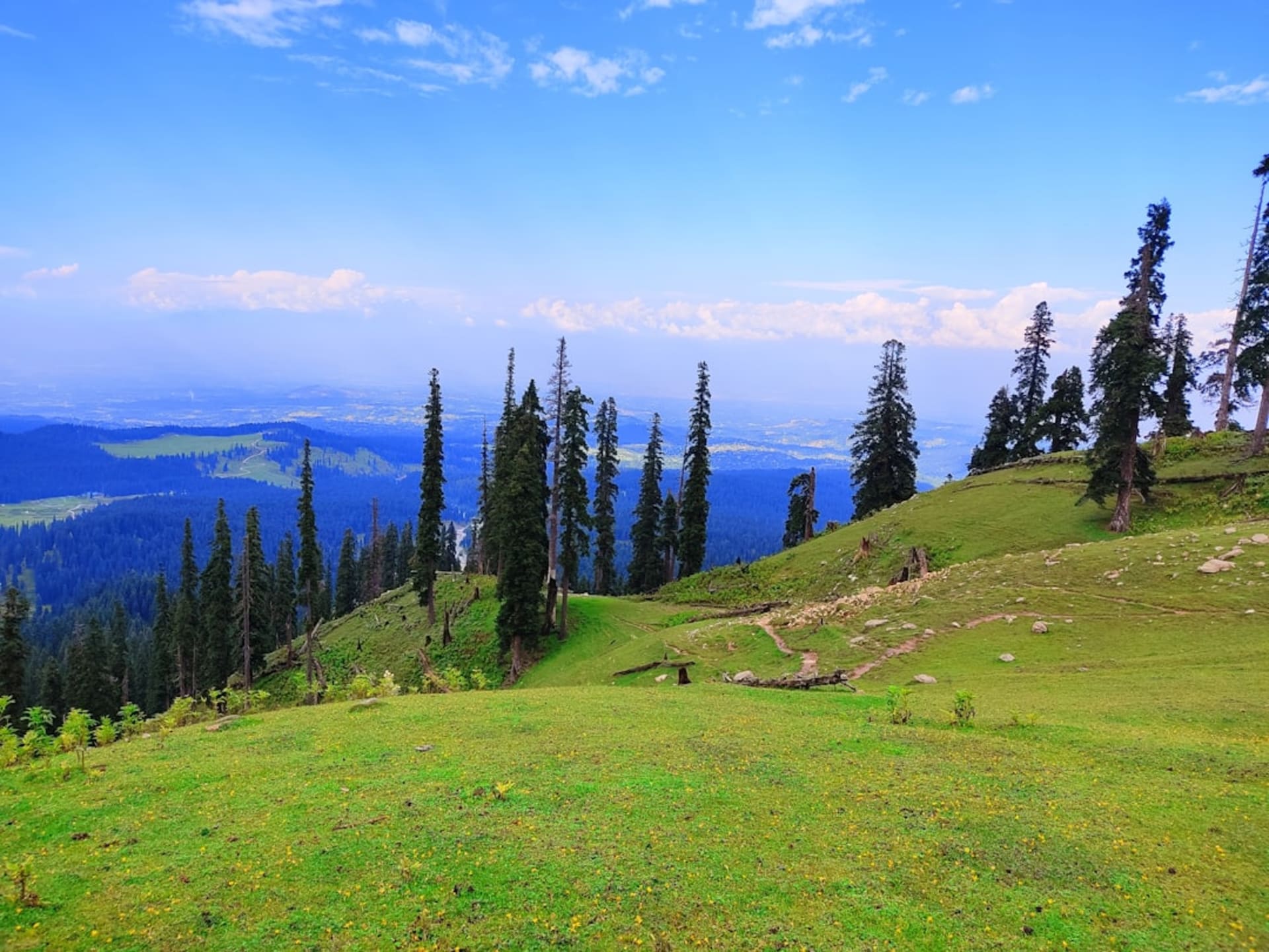 Dense pine and walnut forest covering the slopes of Lolab Valley with a stream running through green meadows below