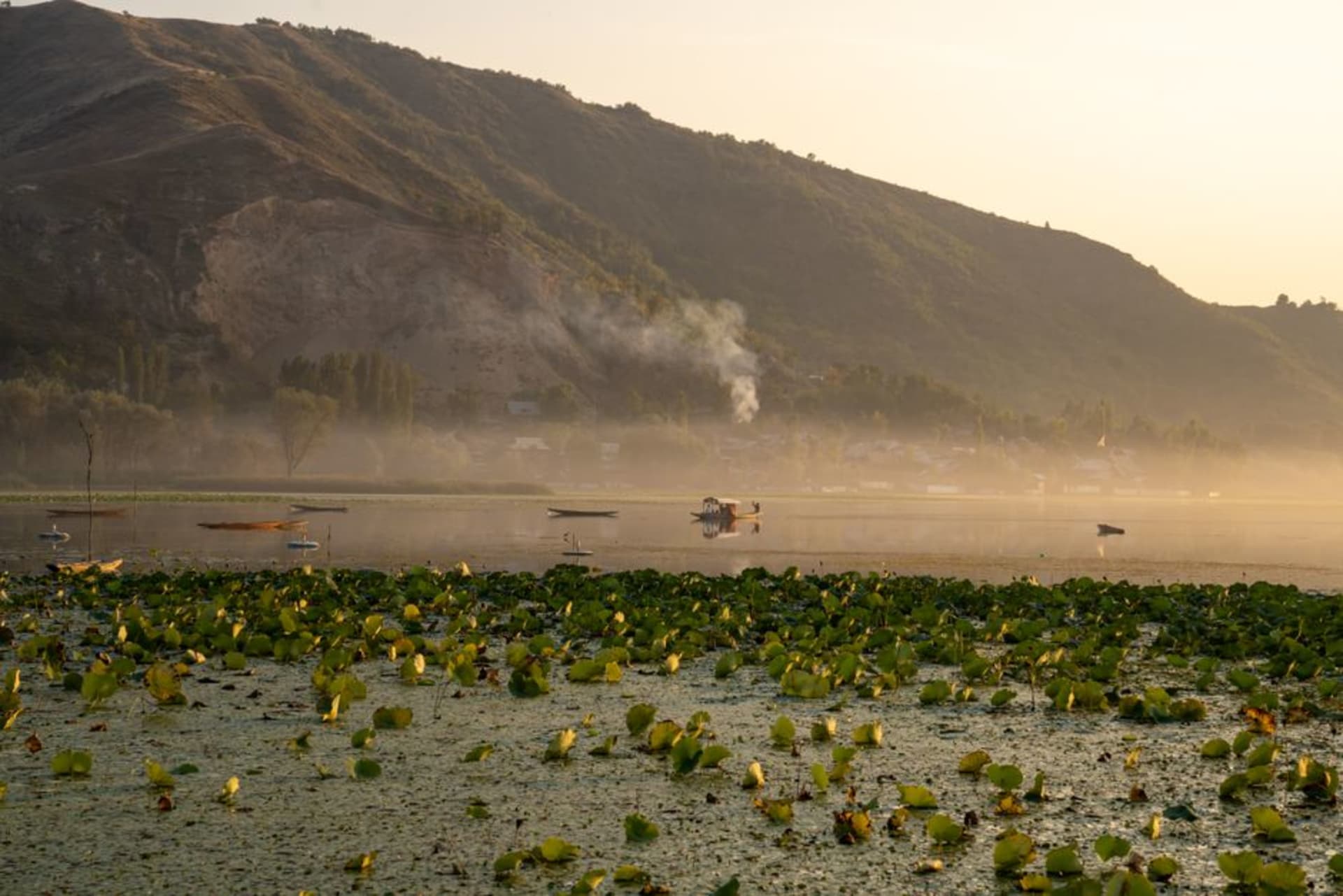 Still water at Manasbal Lake with lotus leaves floating near the shore and hills reflected on the surface