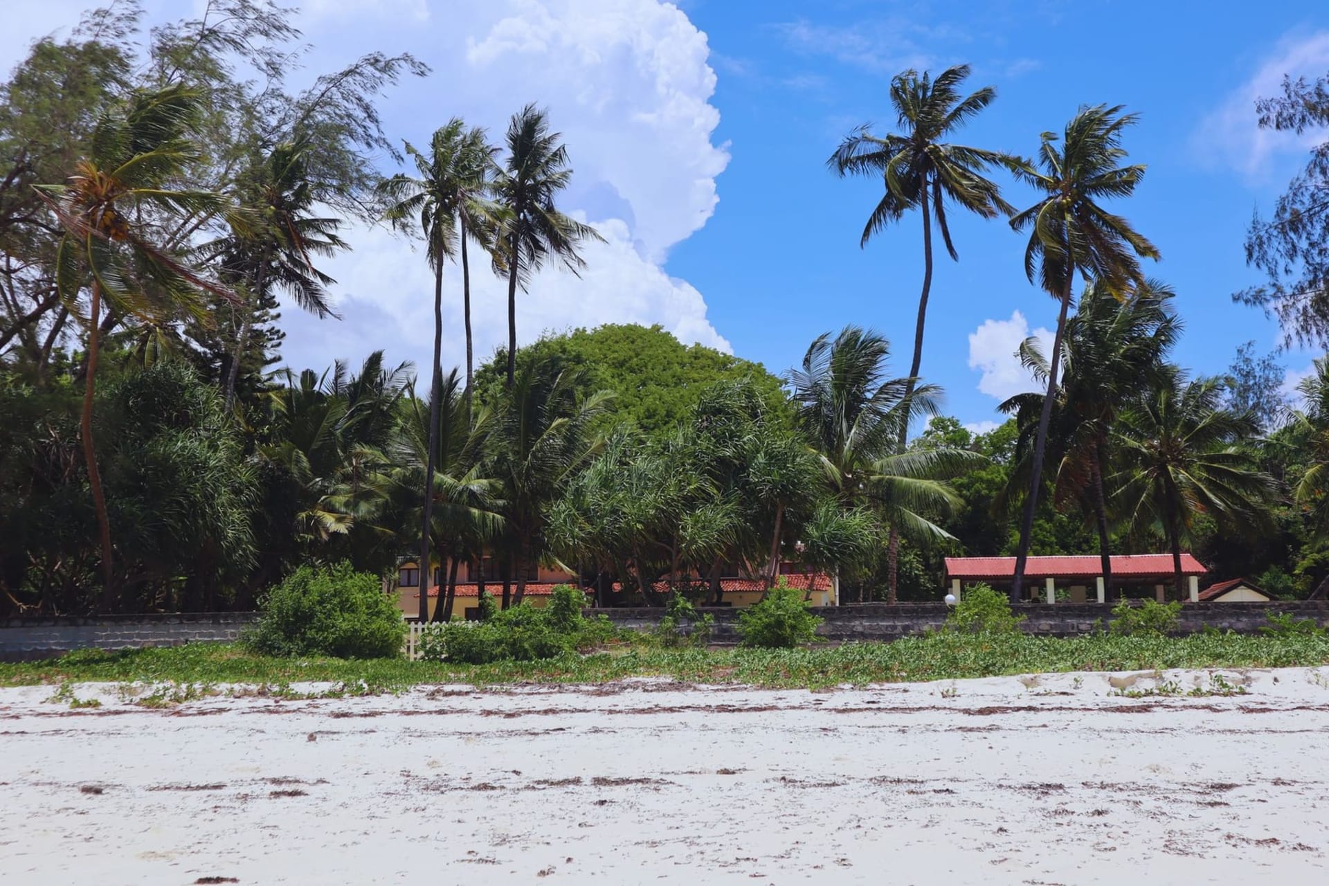 Sweeping view of Diani Beach's powder-white sand meeting turquoise Indian Ocean shallows, with a fringe of palm trees casting long shadows in the early morning light.