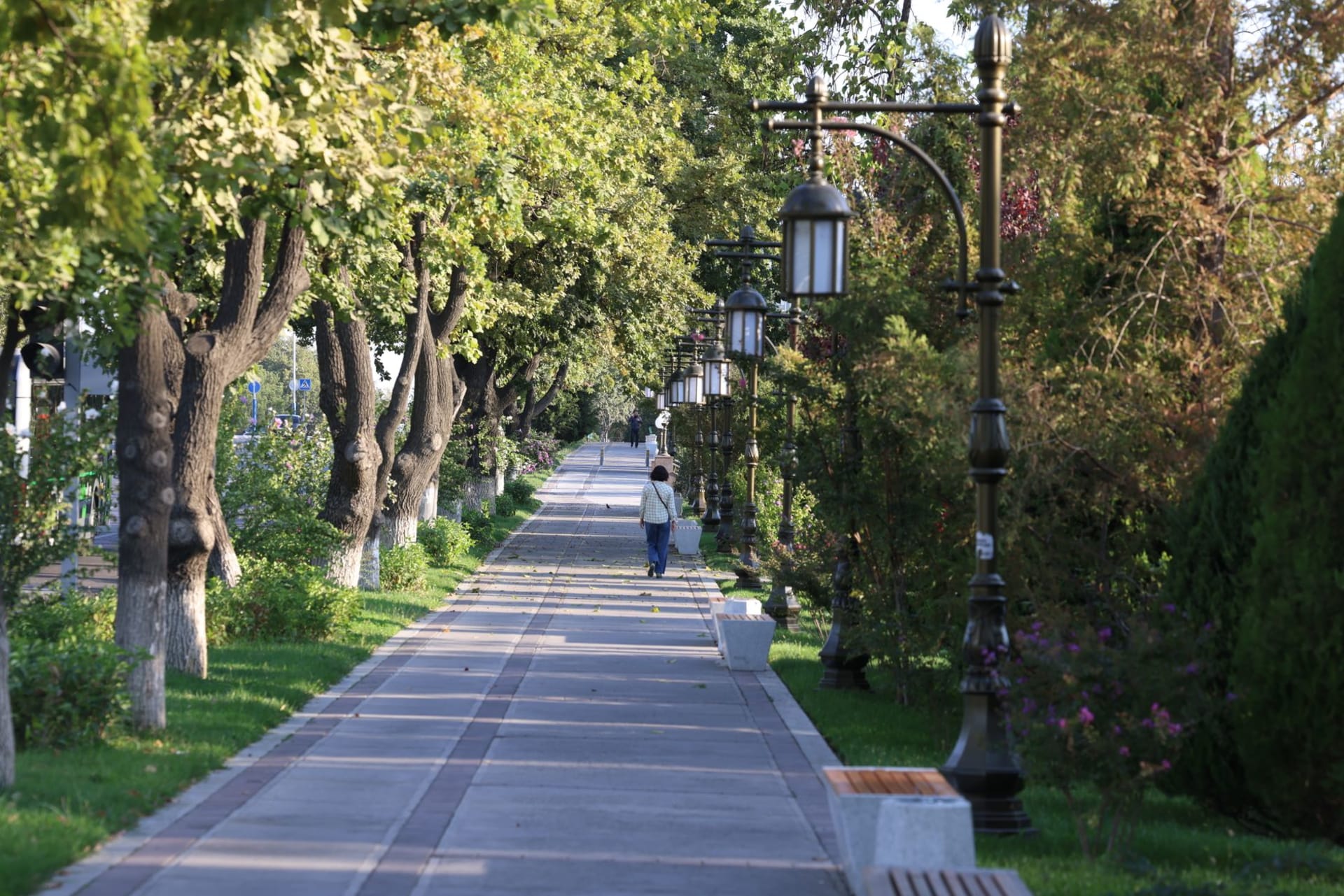 Wide tree-lined boulevard in Bishkek with Soviet-era buildings and mountains faintly visible in the distance