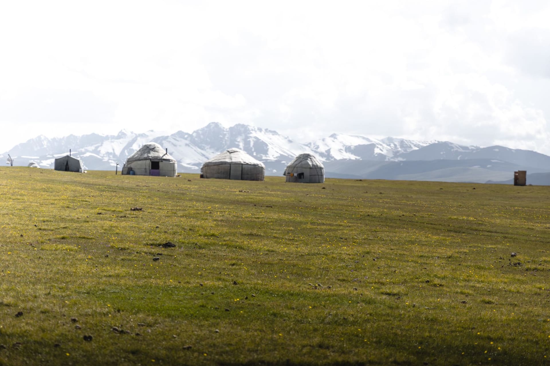 Traditional yurts pitched on an open steppe plateau under a wide blue sky, with snow-capped peaks rising in the background