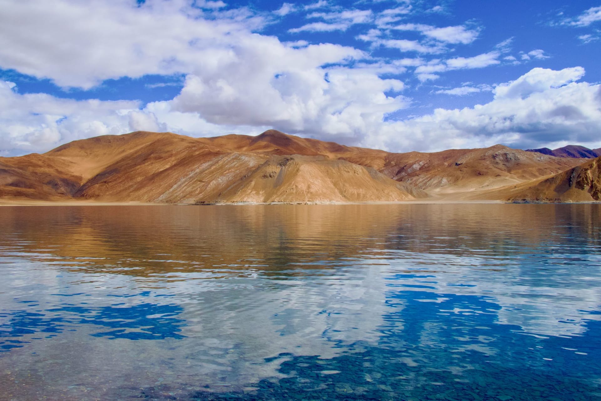 Pangong Tso Lake stretching into the distance, its impossibly blue water mirroring the barren brown hills and open sky of the Ladakhi plateau
