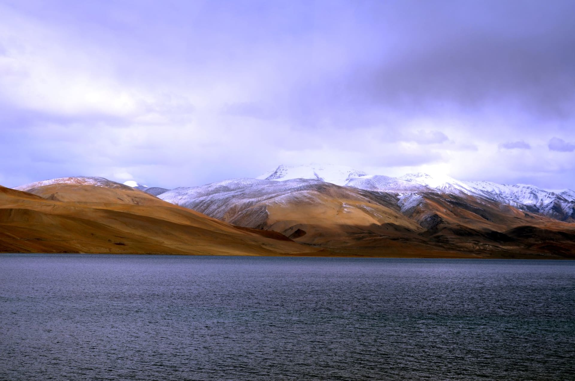 The deep blue expanse of Tso Moriri at 4,500 metres, bare ochre mountains and a thin strip of marshland along the shore, Changthang, Ladakh