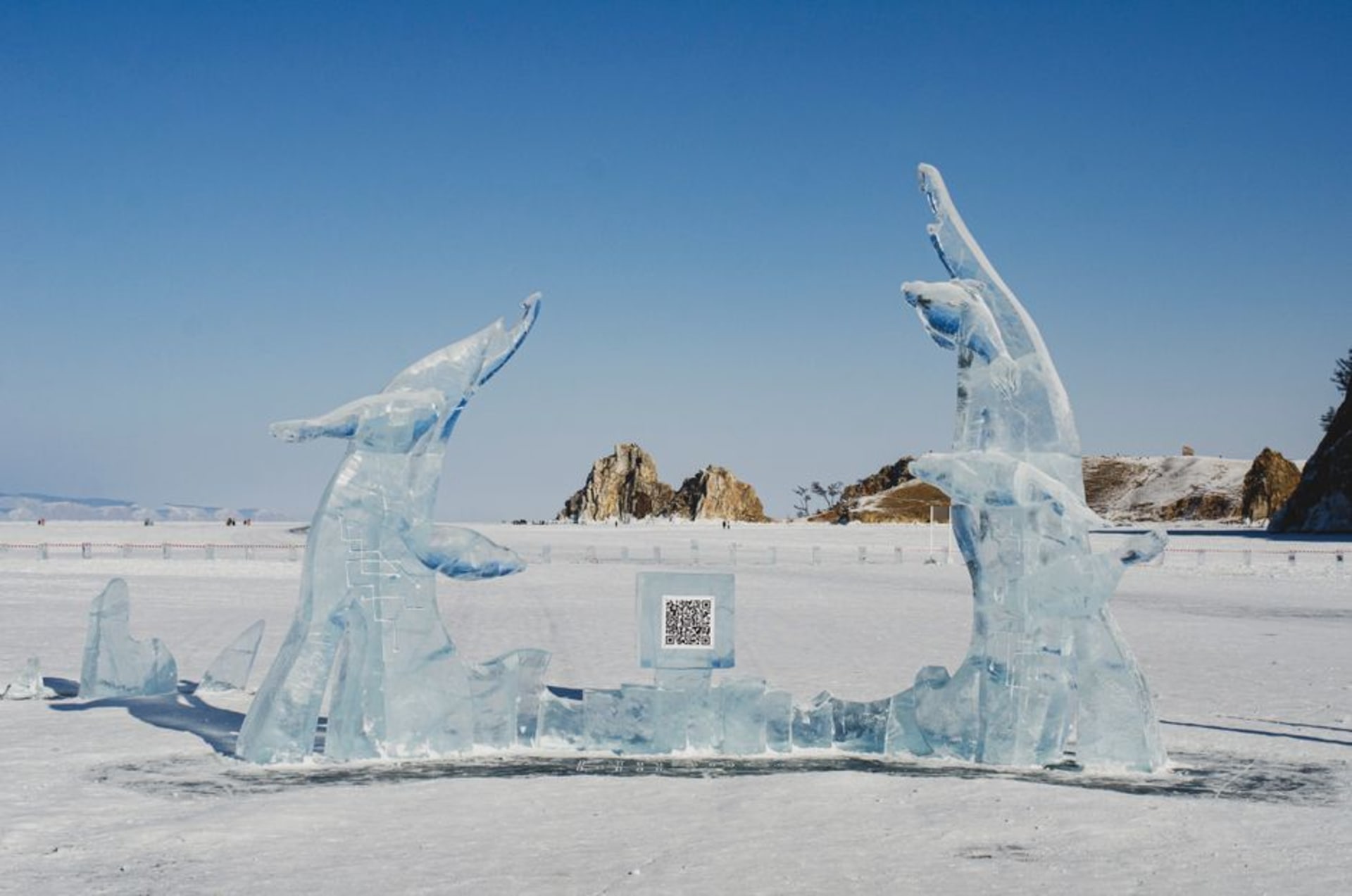 Baikal seals hauled out on the rocky marble shoreline of Bolshoi Ushkany island