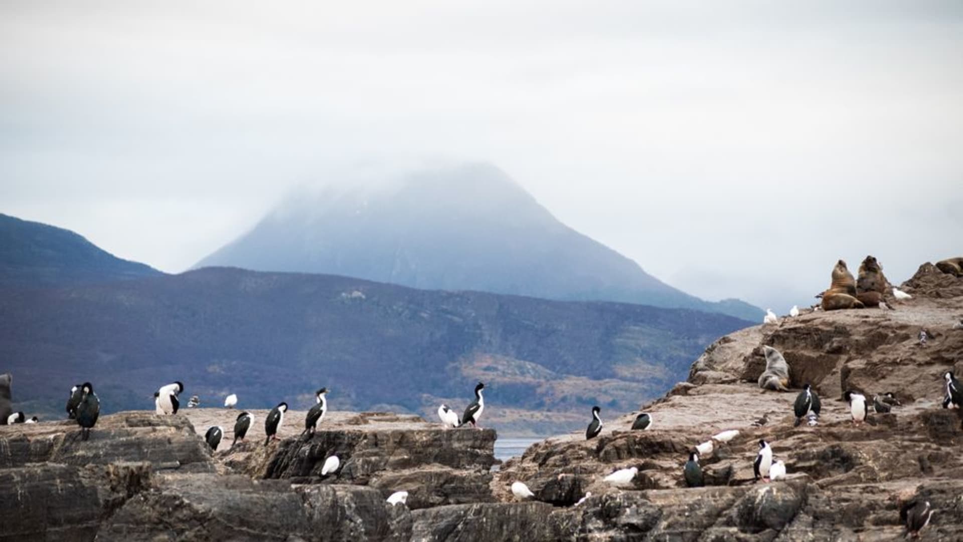 Pequeños botes de madera cruzando el canal angosto entre Puerto Montt e Isla Tenglo