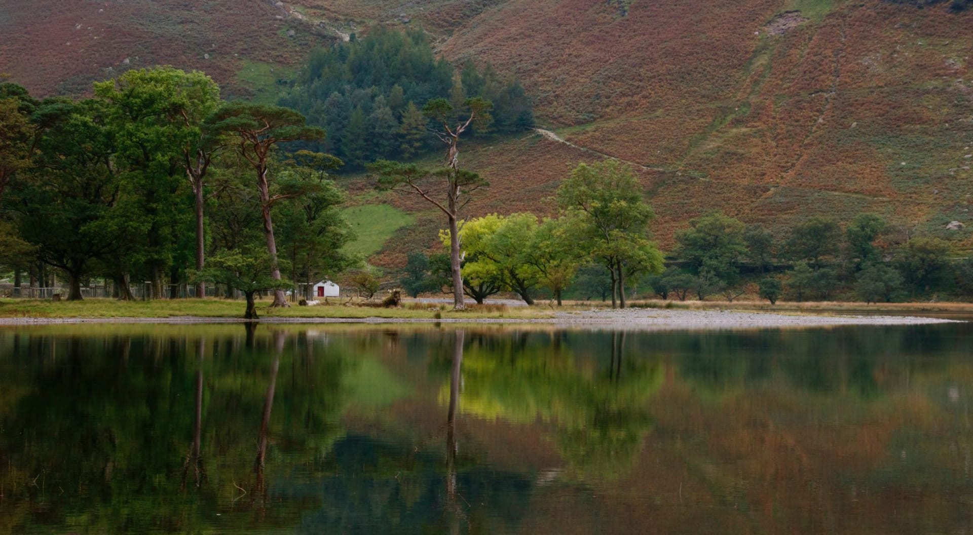Borrowdale valley in autumn with golden oak woodland covering steep crags and the Derwent winding through