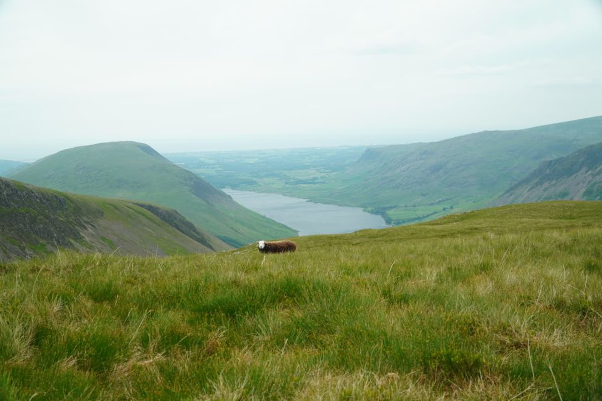 Las aguas oscuras de Wastwater bajo los empinados pedregales de Illgill Head bajo un cielo amenazante