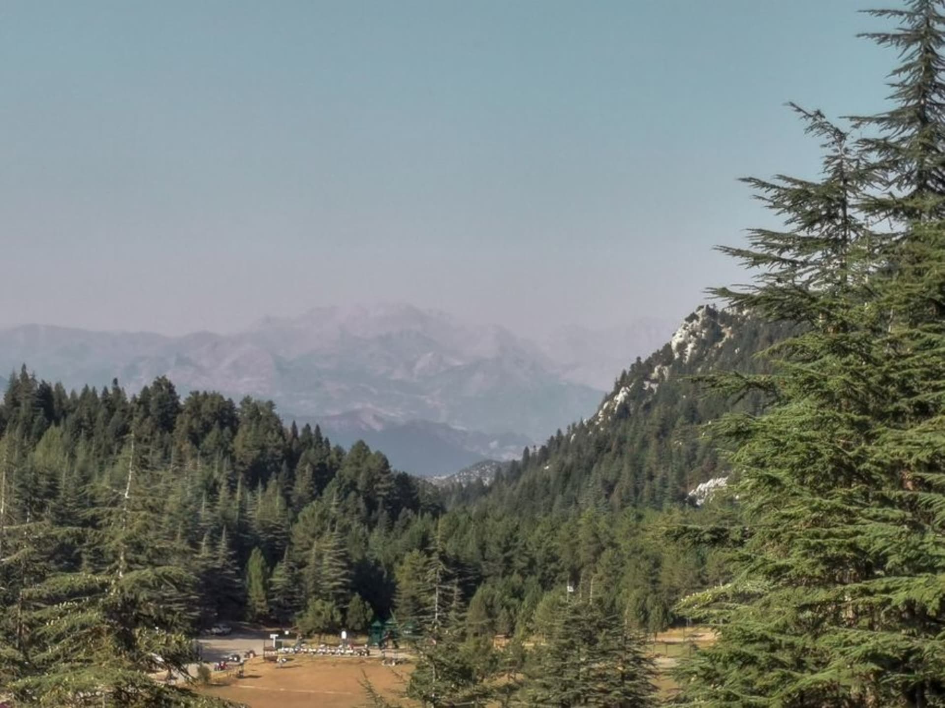 Ancient cedar trees in the Tannourine Cedars Nature Reserve with snow-dusted mountains in the background