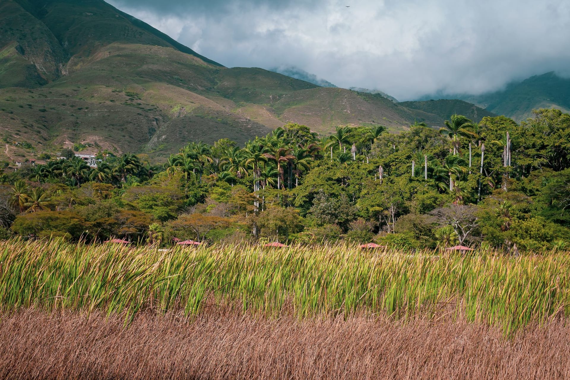 The Río Guariquito winding through the dry-season scrub of eastern Guárico state near Valle de la Pascua, with herons visible on the far bank