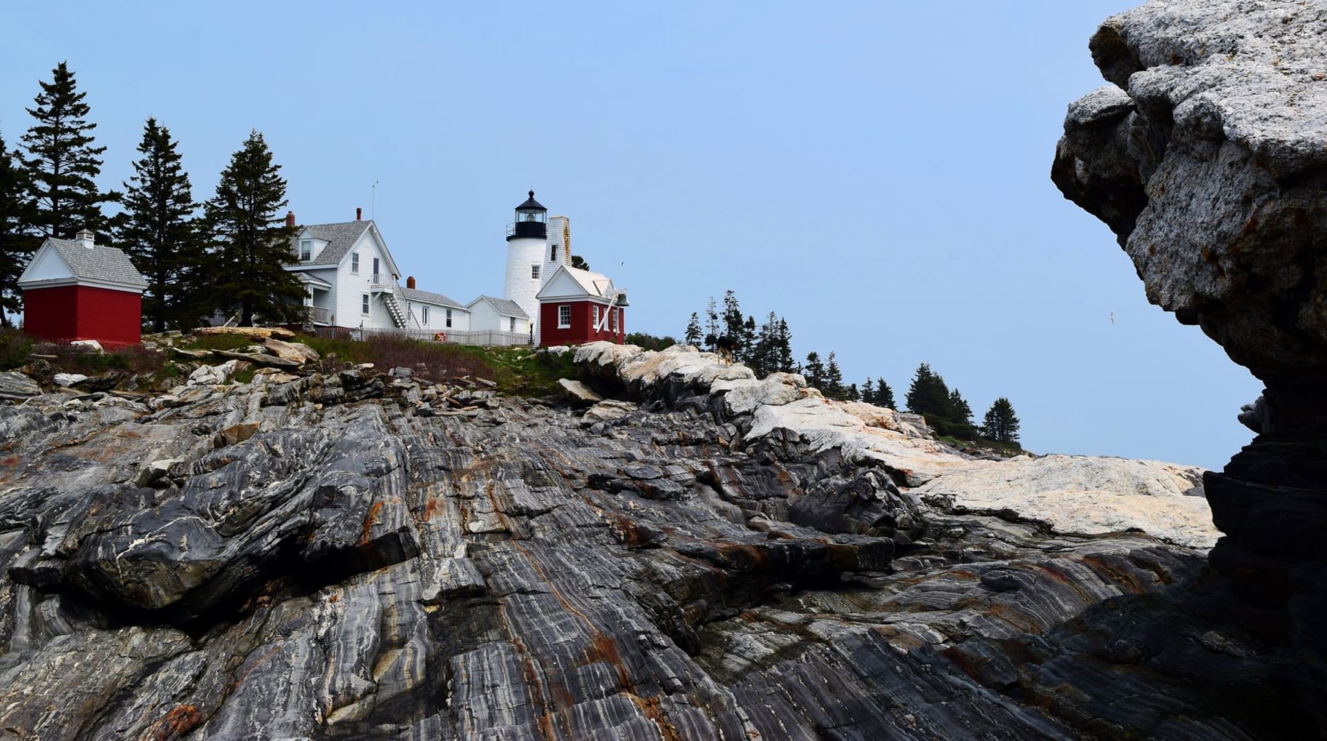 Bold Coast cliffs rising sheer from the Atlantic in Washington County, spruce forest to the edge