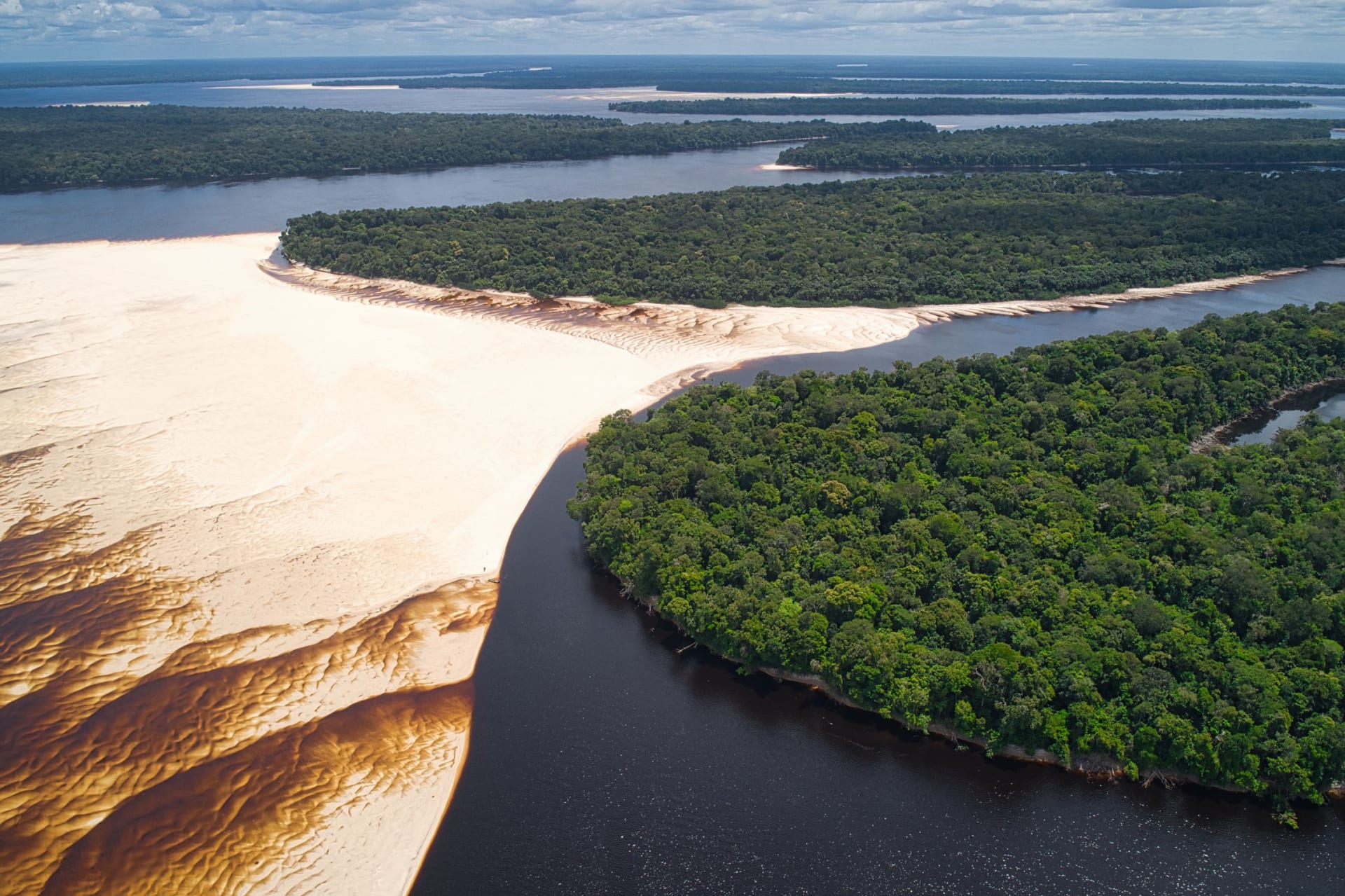 Aerial view of pale sandbanks cutting through dense Amazon rainforest and river channels in the Brazilian Amazon
