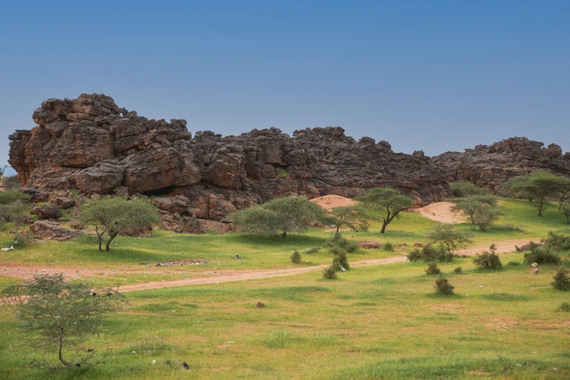 La brecha rocosa de arenisca del Paso de Amogjar atravesando la meseta del Adrar bajo un cielo desértico pálido