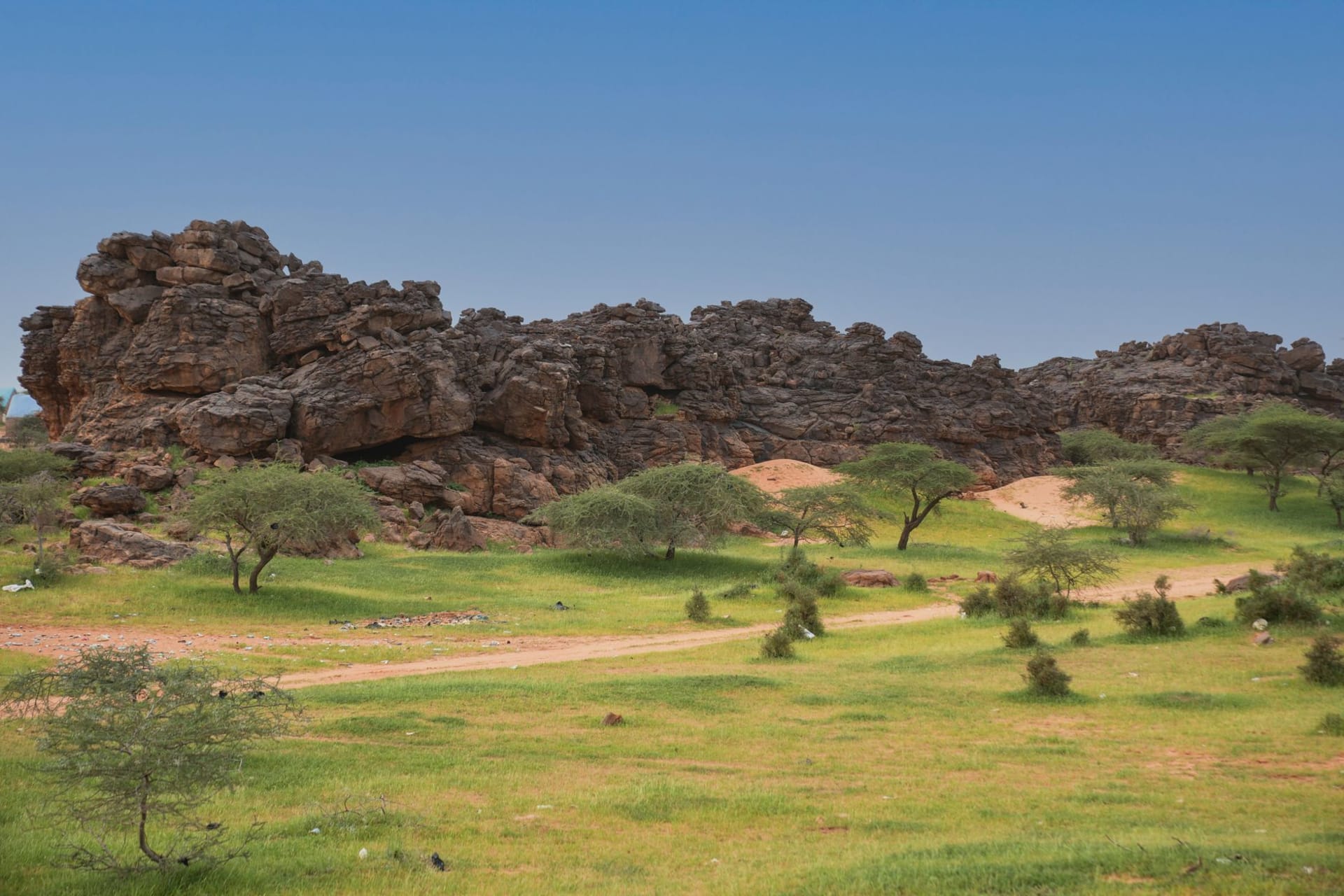 Atar's central market in morning light, men in indigo robes sitting beside camel saddles and sacks of dates, the Adrar plateau visible in the distance
