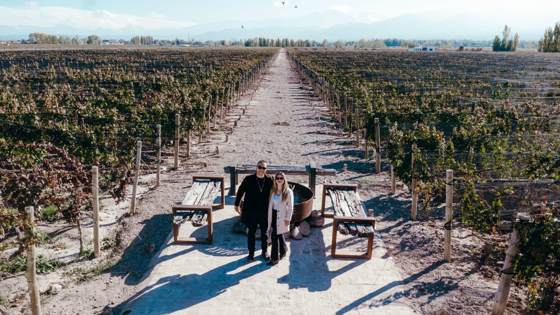 Aerial view of a couple standing in a vast vineyard in Mendoza, Argentina, with the snow-capped Andes rising in the background