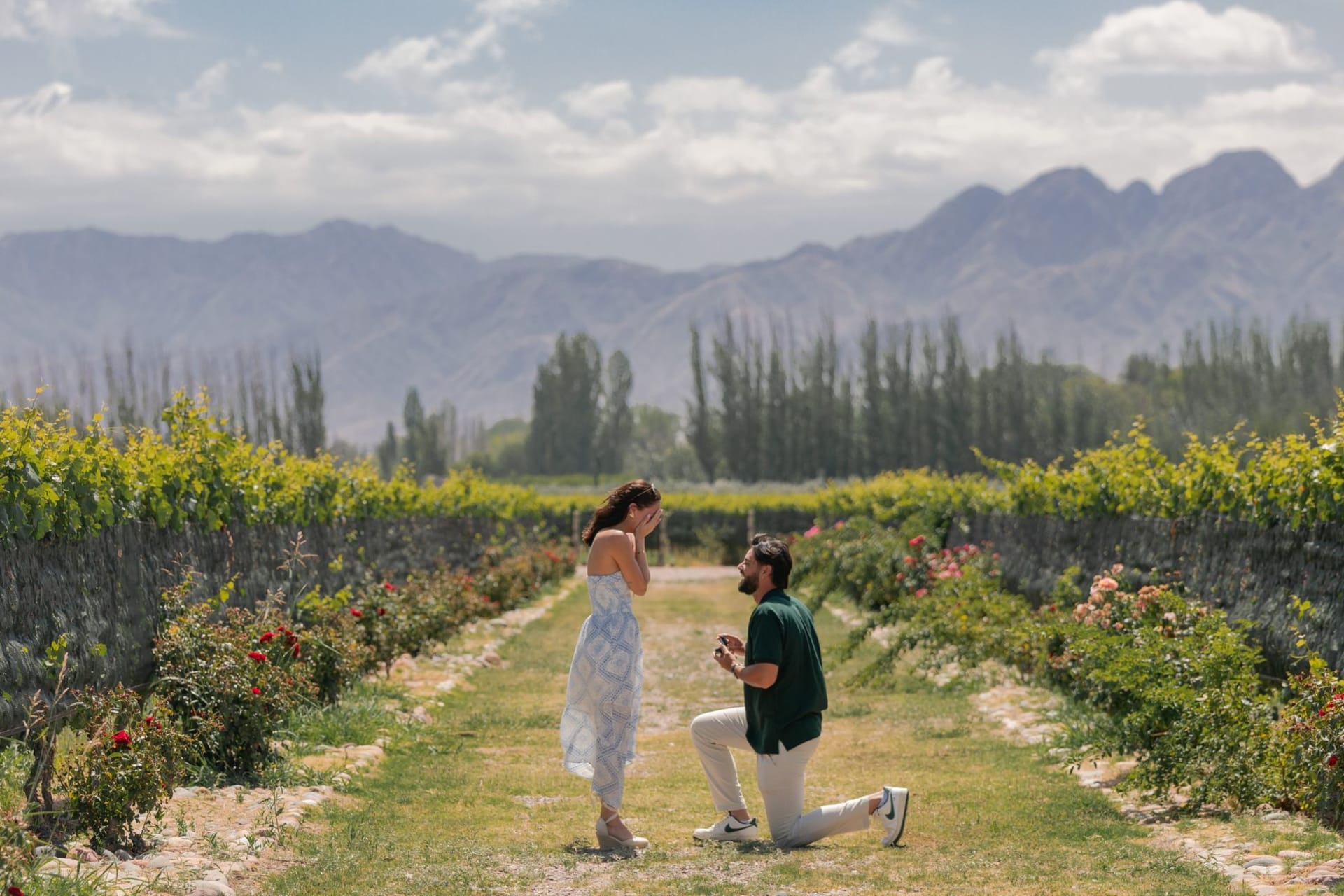 A high-altitude vineyard in Tupungato at dusk, frosted vine leaves in the foreground, the massive Tupungato volcano glowing orange behind, a single worker visible in the rows