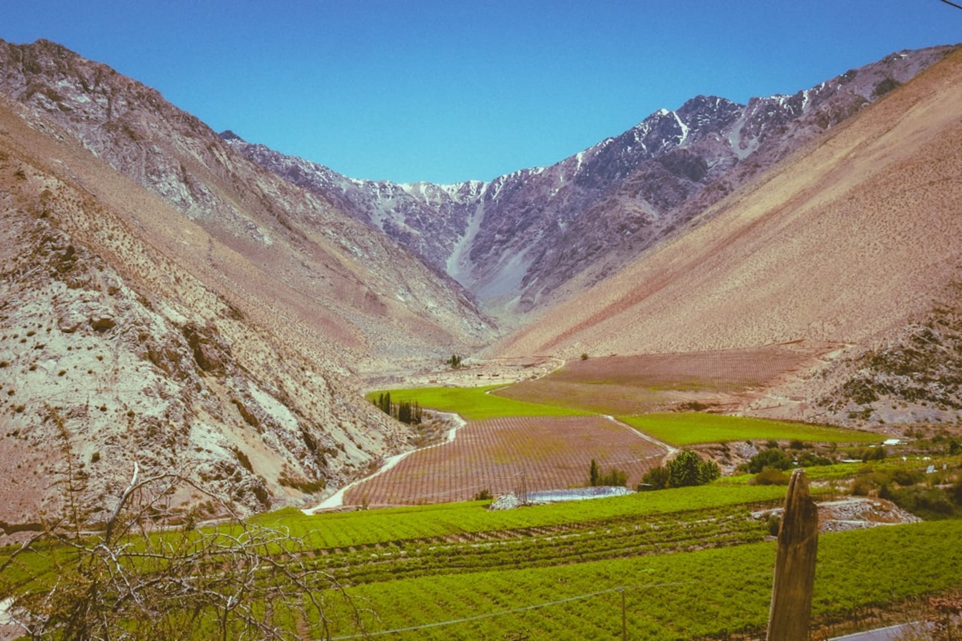 A small boutique winery building framed by poplar trees with snow-capped Andes peaks behind