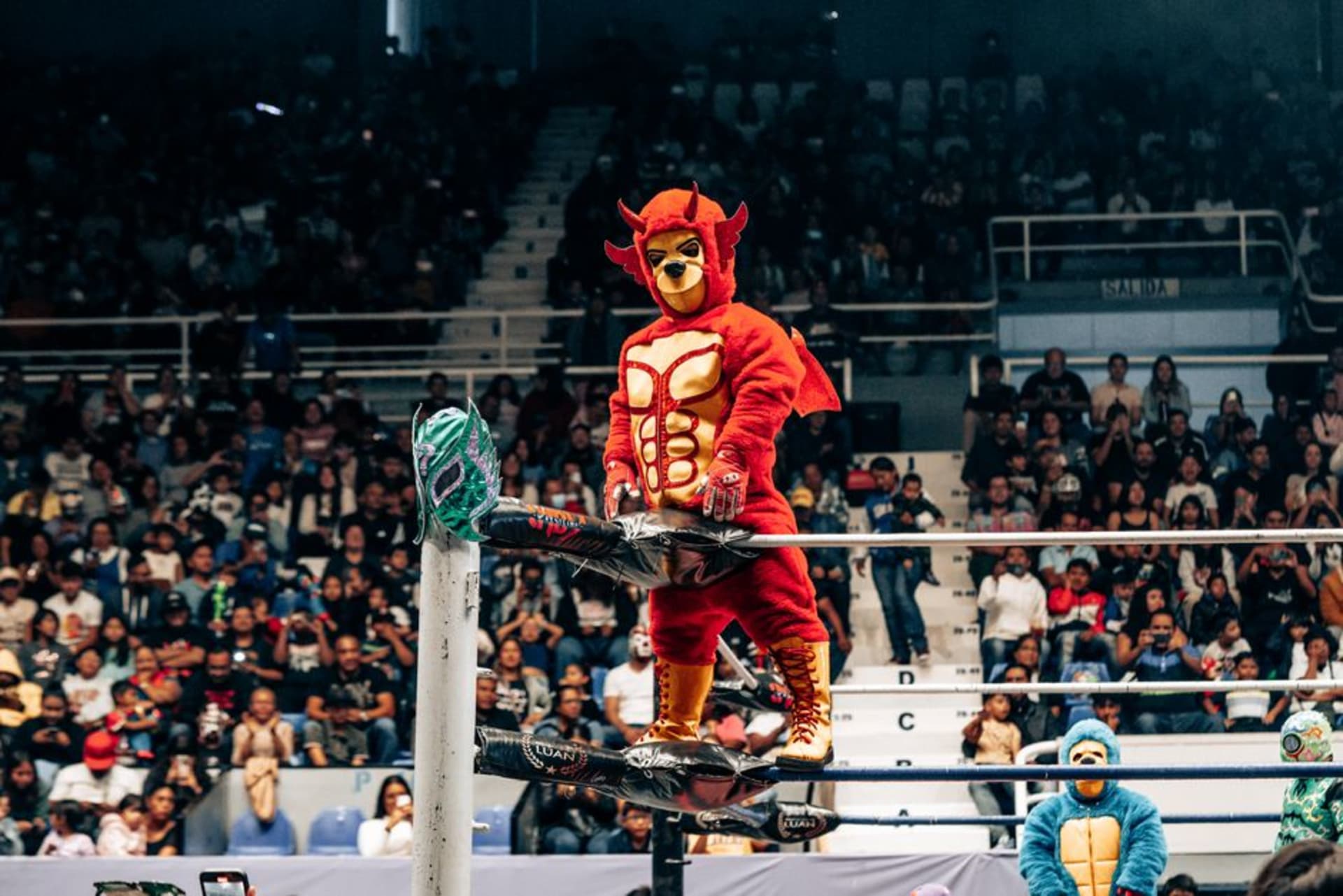 Inside Arena México looking down at the illuminated wrestling ring surrounded by packed bleachers, lucha libre fighters mid-bout under fluorescent arena lights
