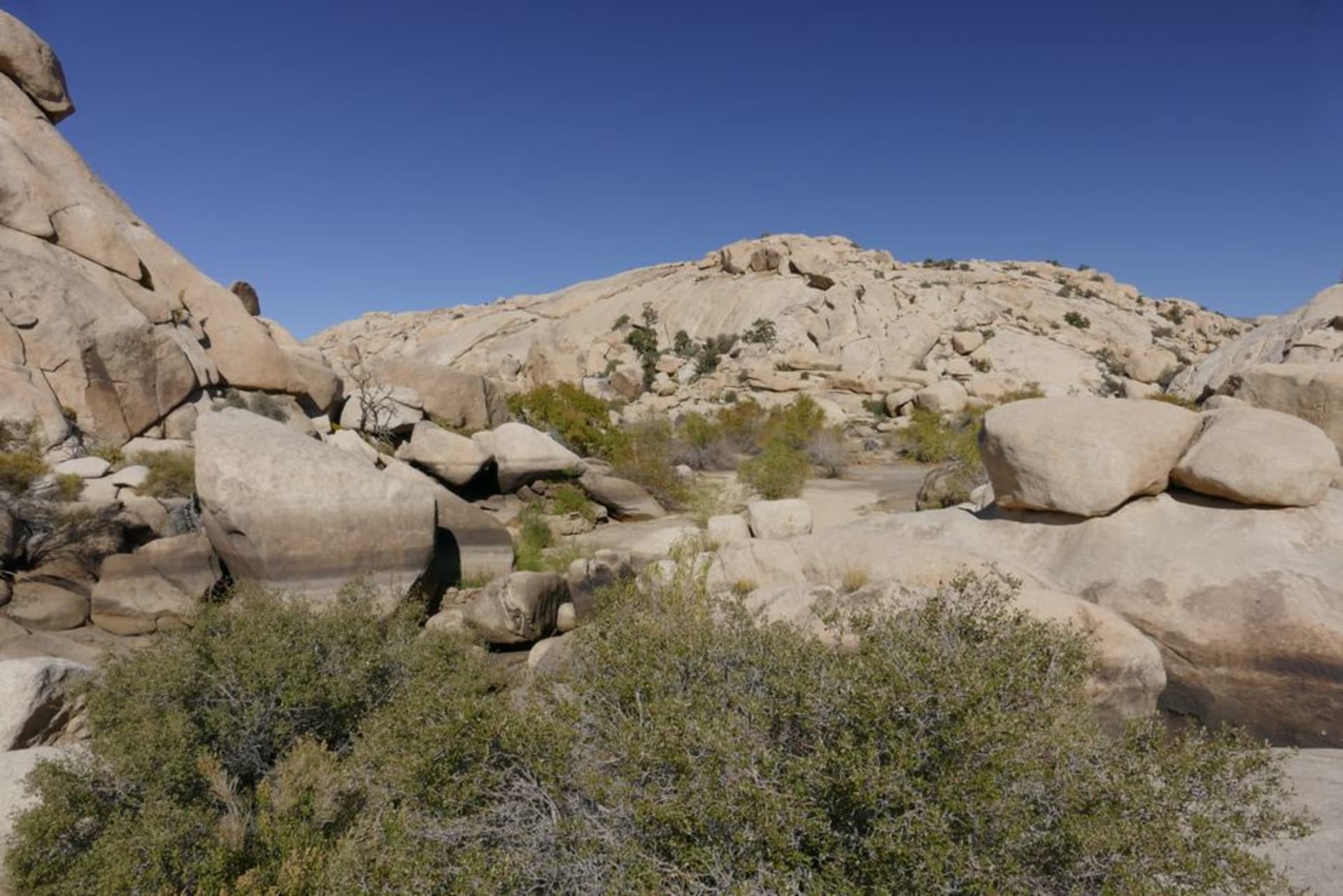 Tall pale cirio boojum trees rising from rounded granite boulders under a wide desert sky in Cataviña, Baja California.