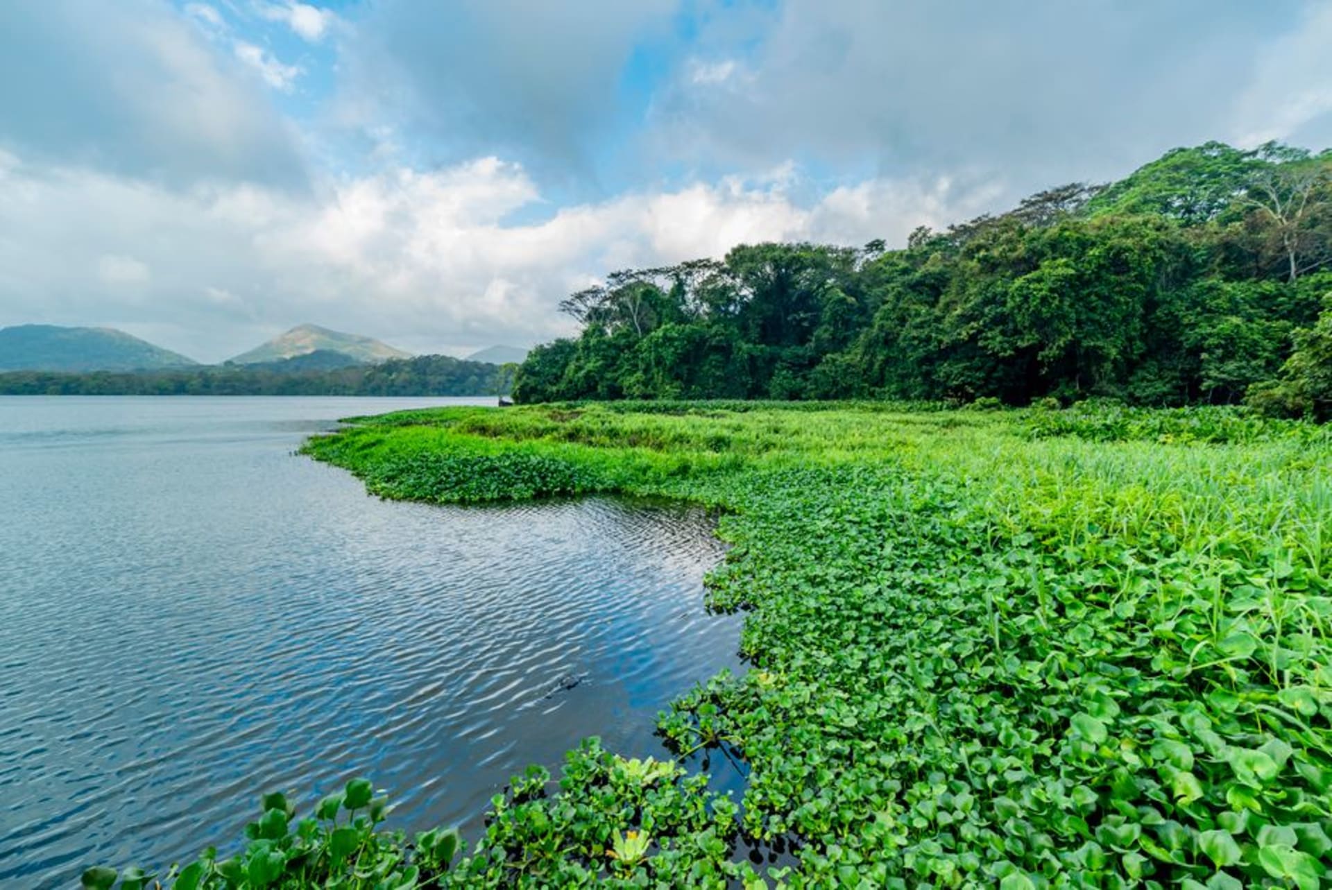 Lago Catemaco in the Veracruz highlands, the still volcanic lake surrounded by tropical rainforest, a wooden boat on the turquoise-green water, the cone of the San Martín Tuxtla volcano rising in the background