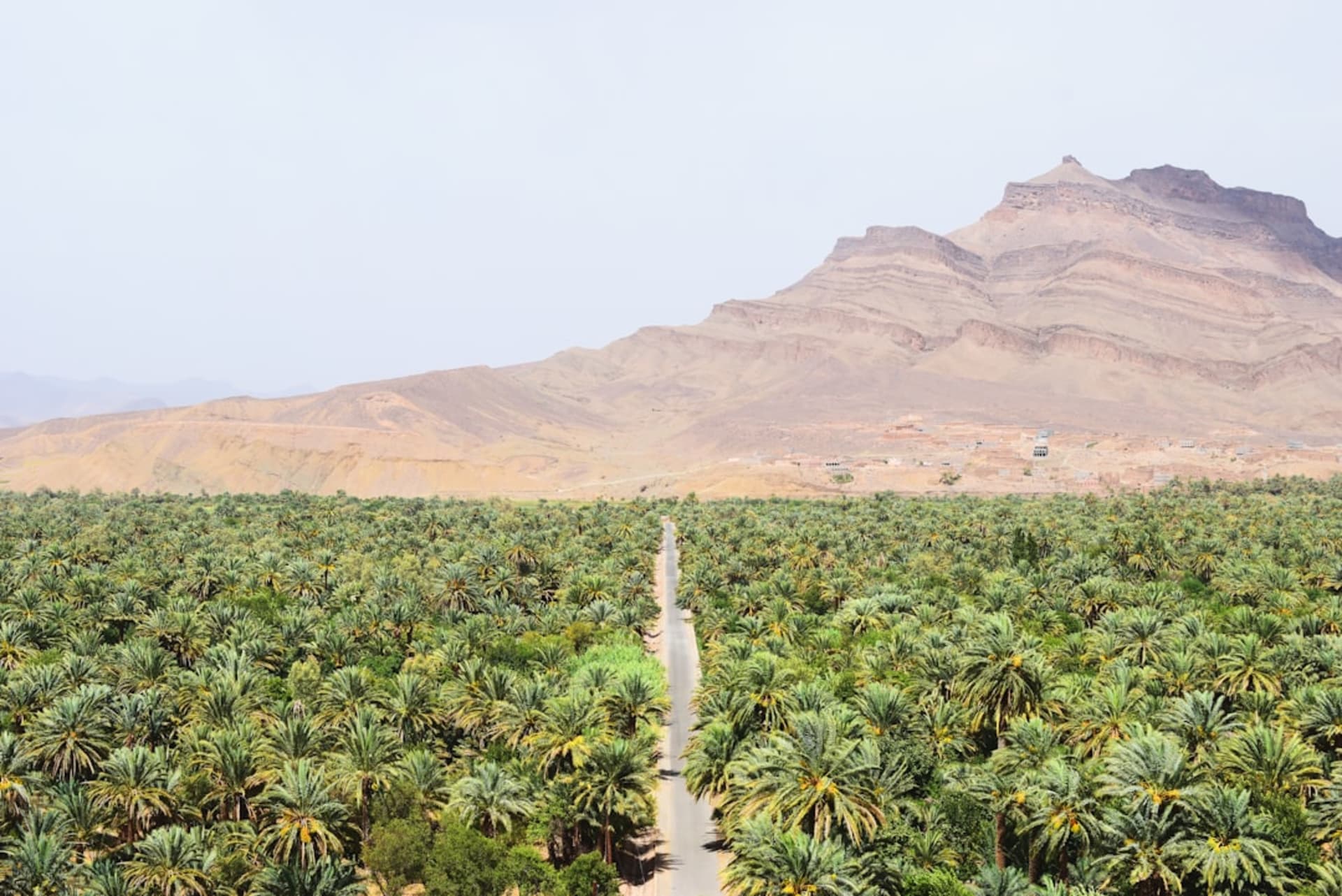 Date palms and stone mission walls at the base of a dramatic Baja canyon, late afternoon light cutting across the oasis floor