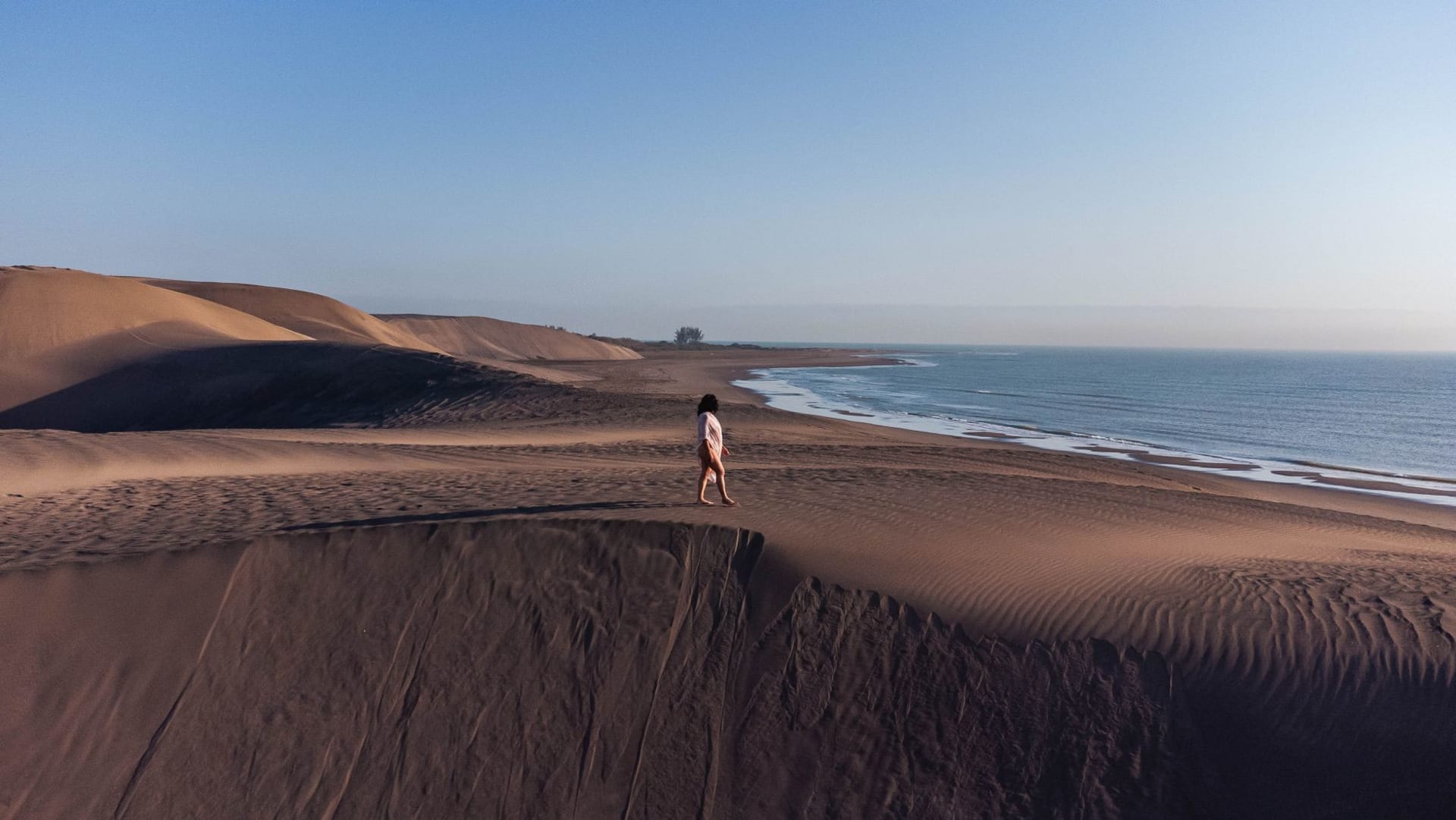 A panga boat on Laguna Ojo de Liebre at dawn, a gray whale surfacing next to the boat with its barnacled back visible, the flat lagoon and distant desert shore behind