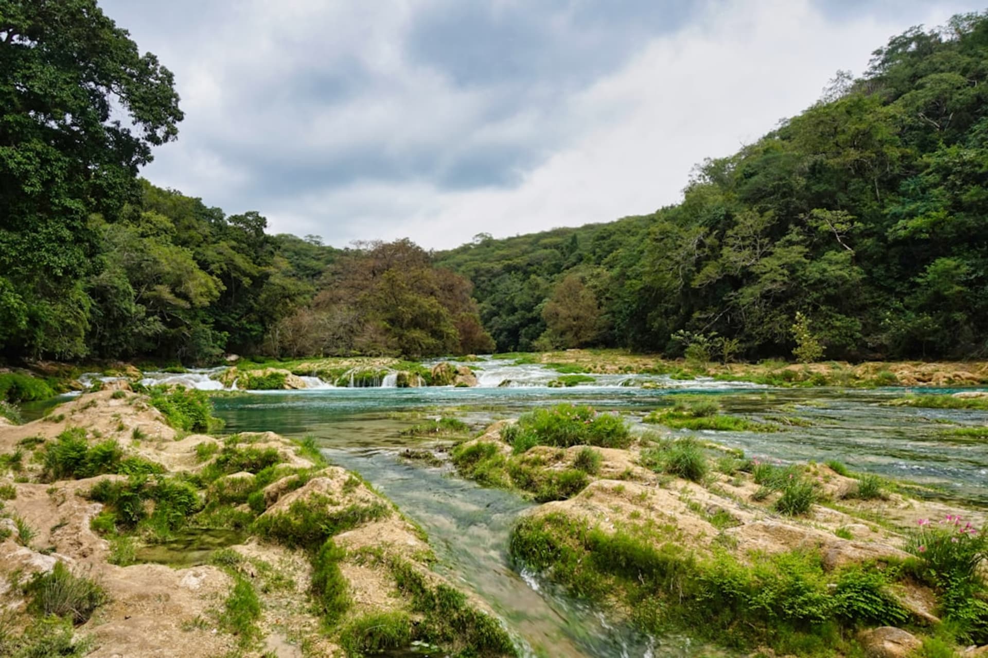 The turquoise waters of the Río Tampaón in the Huasteca Potosina, the limestone canyon walls rising above the river, the tropical forest on the canyon rim, the specific aquamarine color of the calcium-rich water