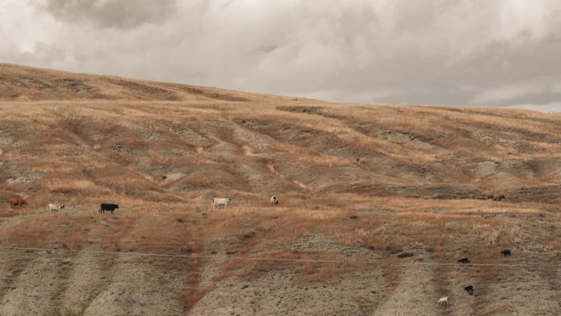 Golden dry hills folding into a deep ravine under a vast pale sky near Ixtacamaxtitlán, northeastern Puebla