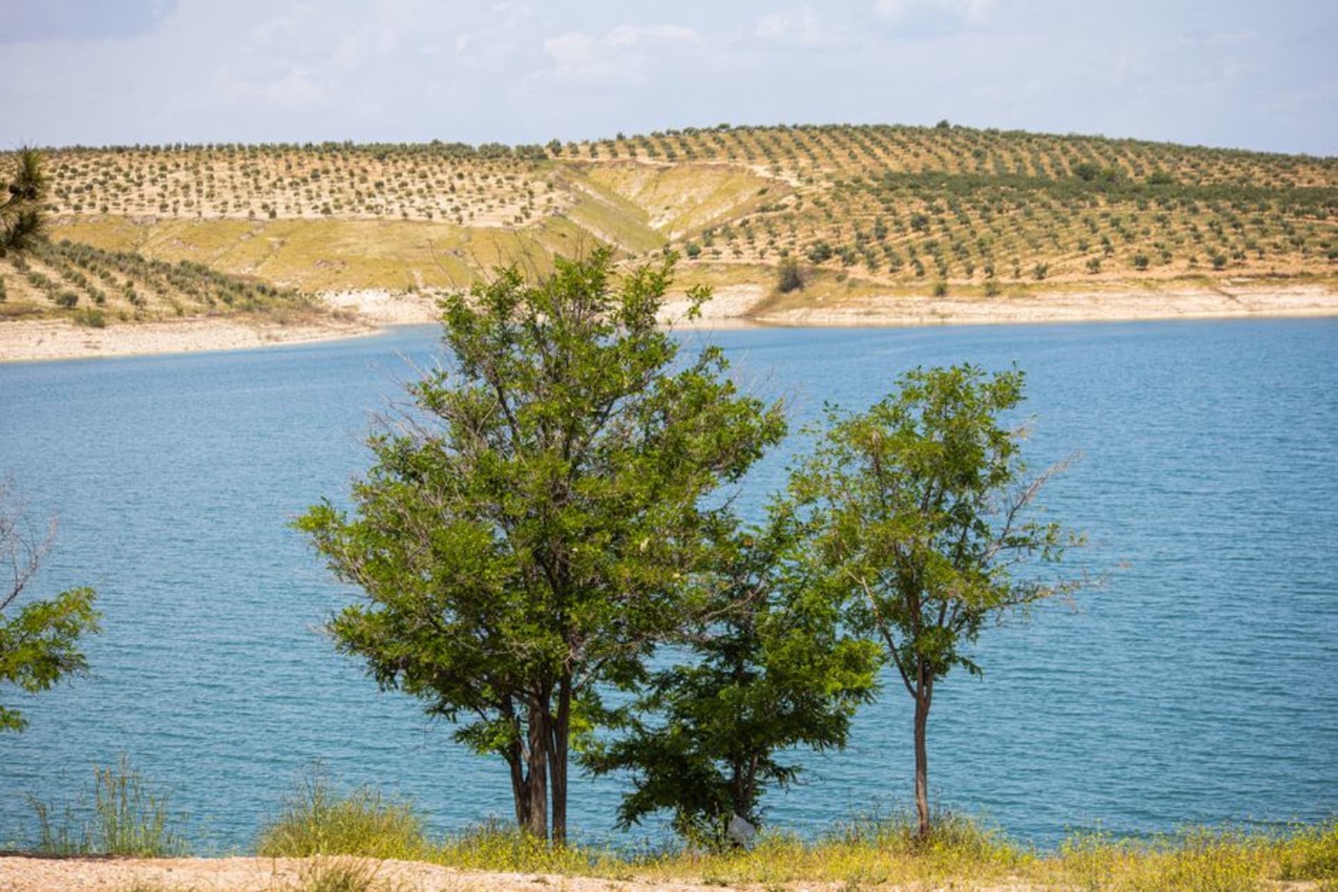 The rolling farmland and low green hills around Jerécuaro in southeastern Guanajuato, cultivated fields and grazing land stretching toward a reservoir that catches the afternoon sky, near the Michoacán border