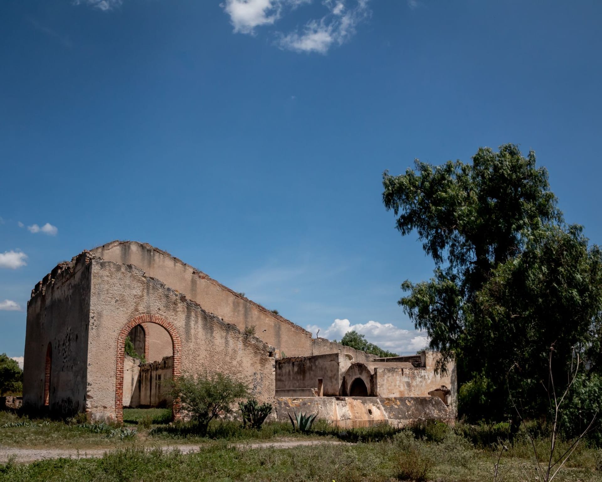 The main plaza of Jerez de García Salinas with its church facade at late afternoon, cantera stone warming in the light