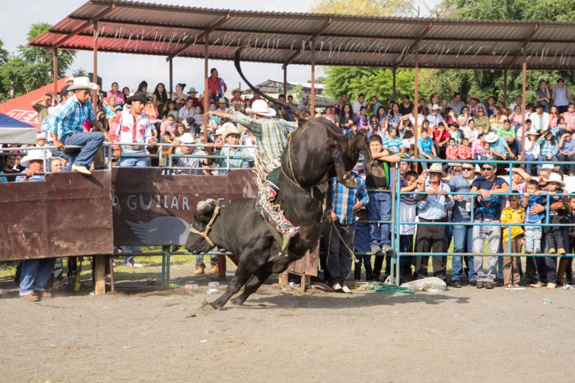 Riders and horses gathered at the arena in Jesús María at dusk, the stands packed with local families