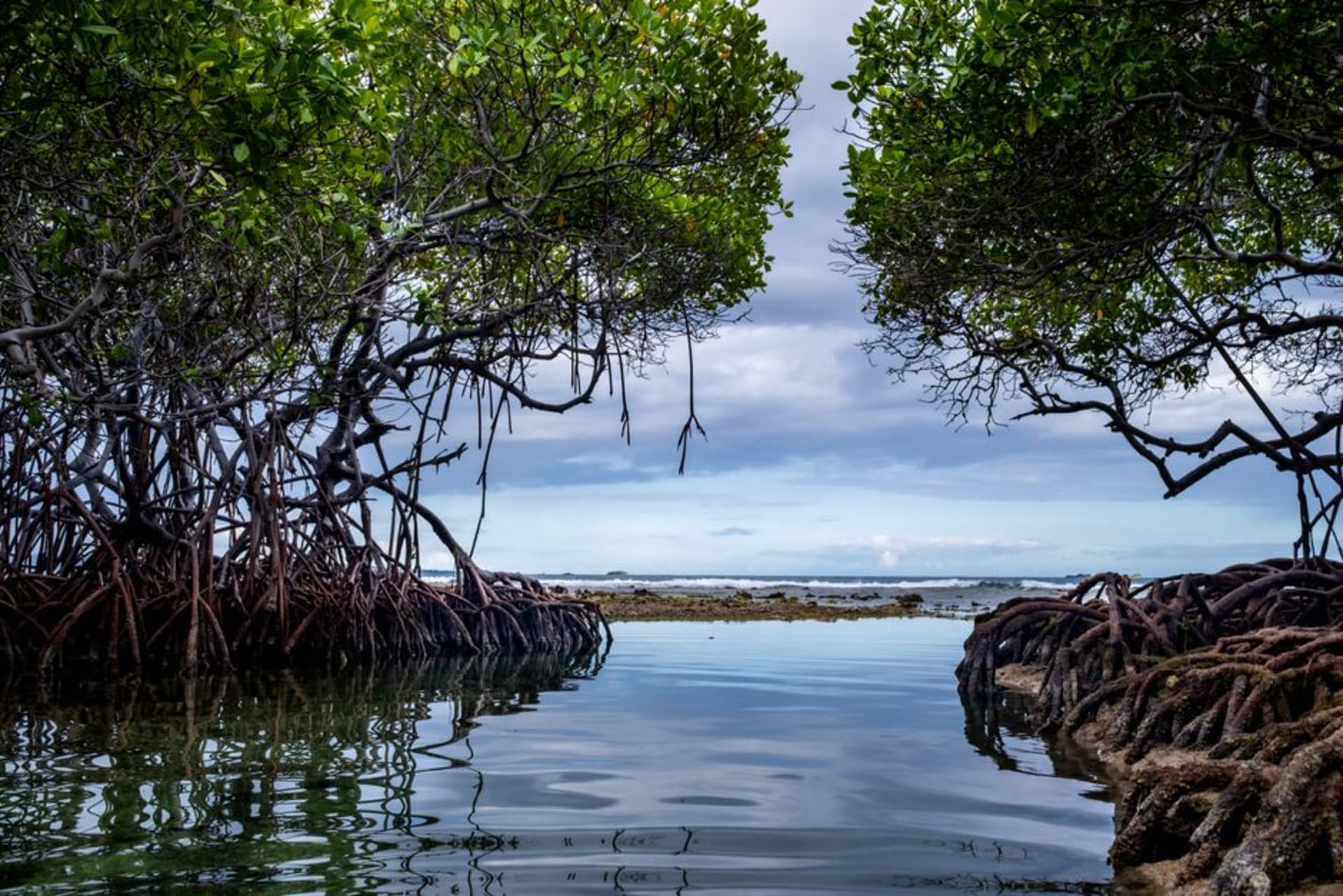 Narrow mangrove channel at dusk in La Encrucijada, Chiapas, with a wooden fishing boat and dense aerial roots framing the water