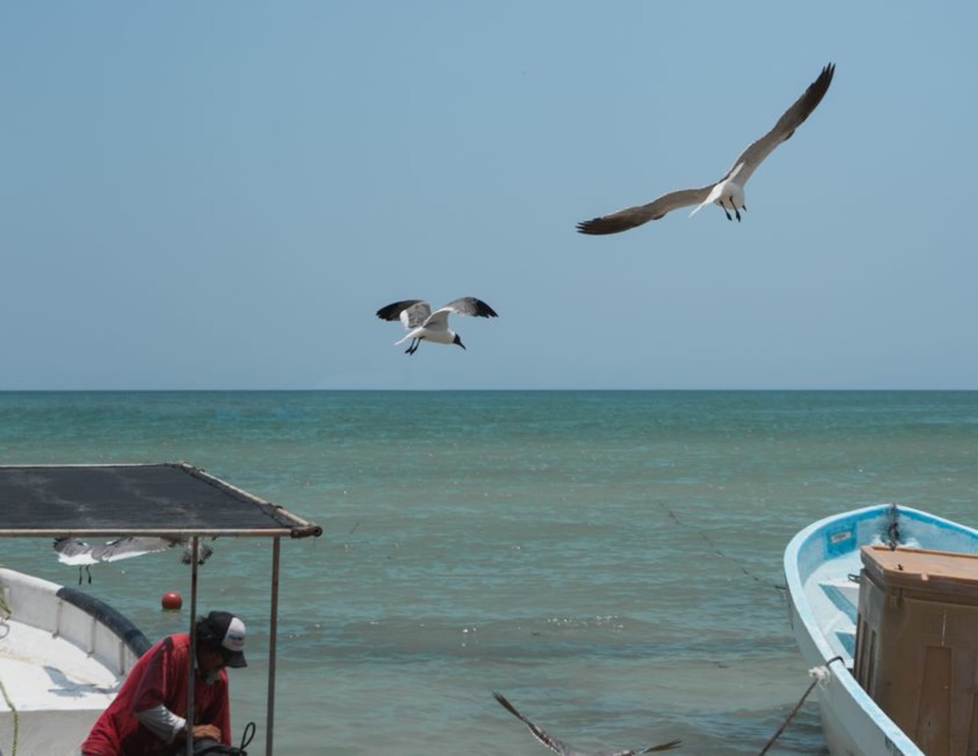 Wide empty beach at La Pesca where the Río Soto la Marina meets the Gulf of Mexico under a pale afternoon sky