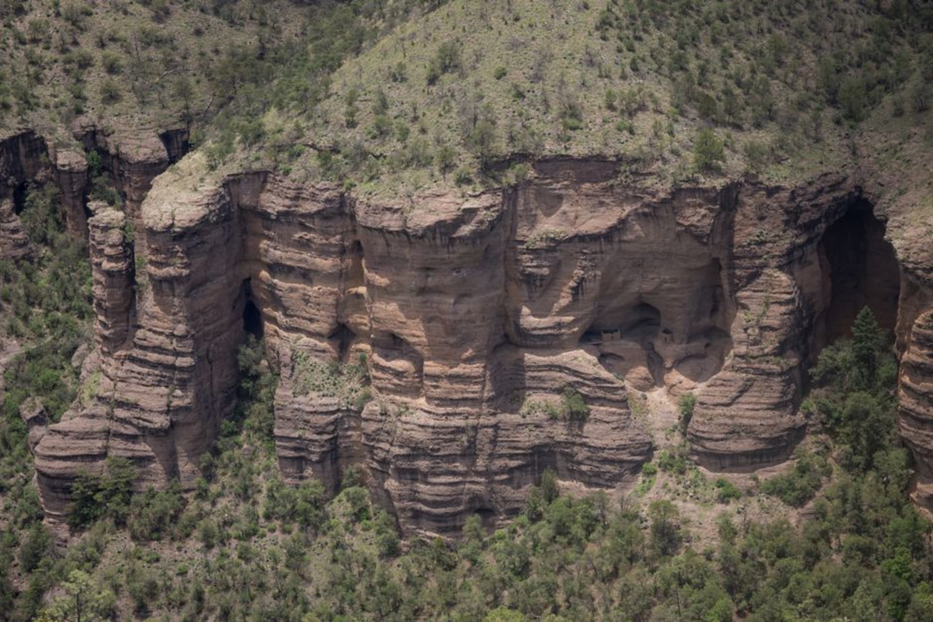 Stone cliff dwellings built into a canyon overhang surrounded by pine-covered sierra in Madera, Chihuahua