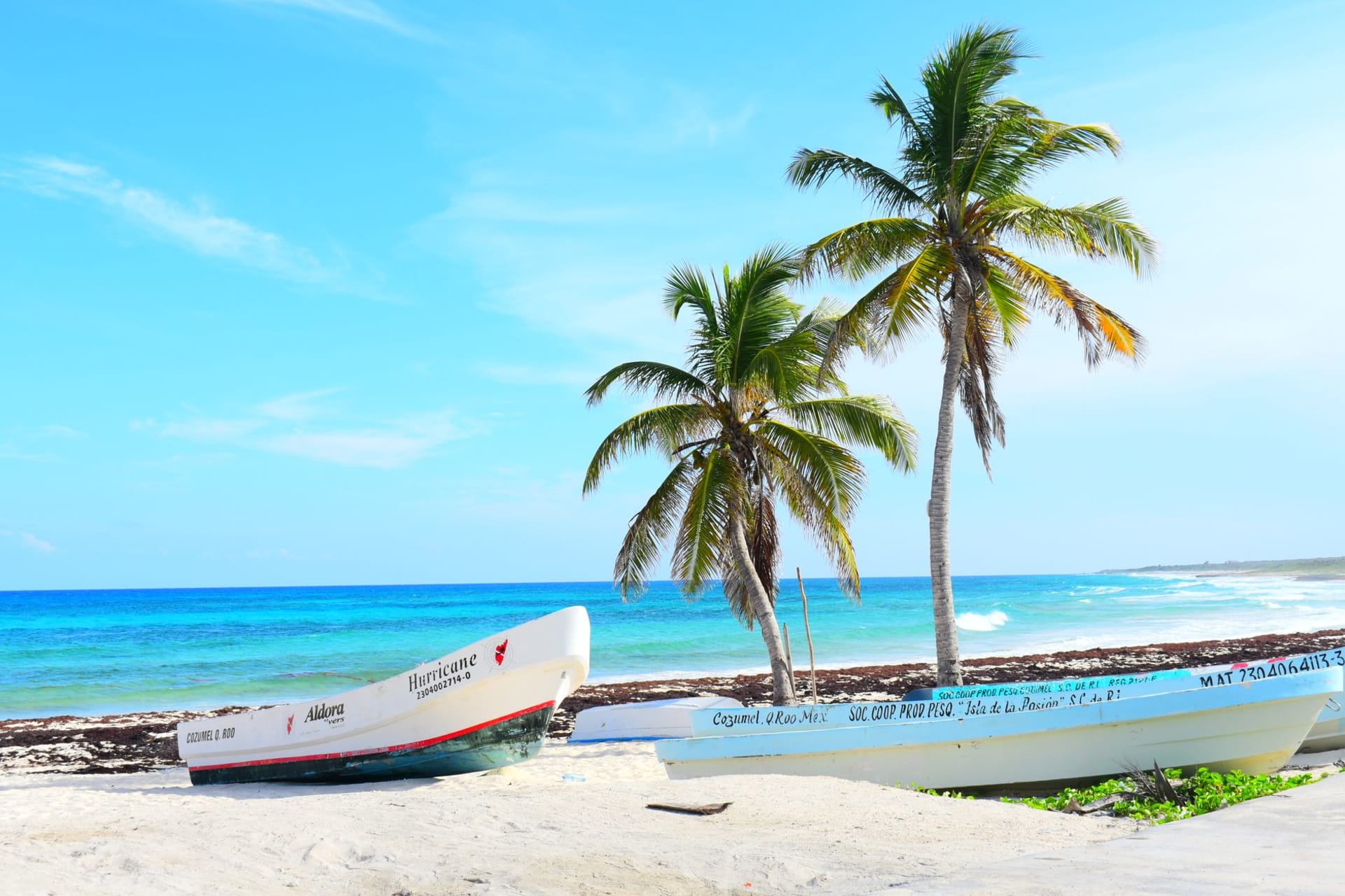 The Mahahual malecón at low tide with the Caribbean visible beyond a sandy beach, small guesthouses and palm trees lining the waterfront promenade