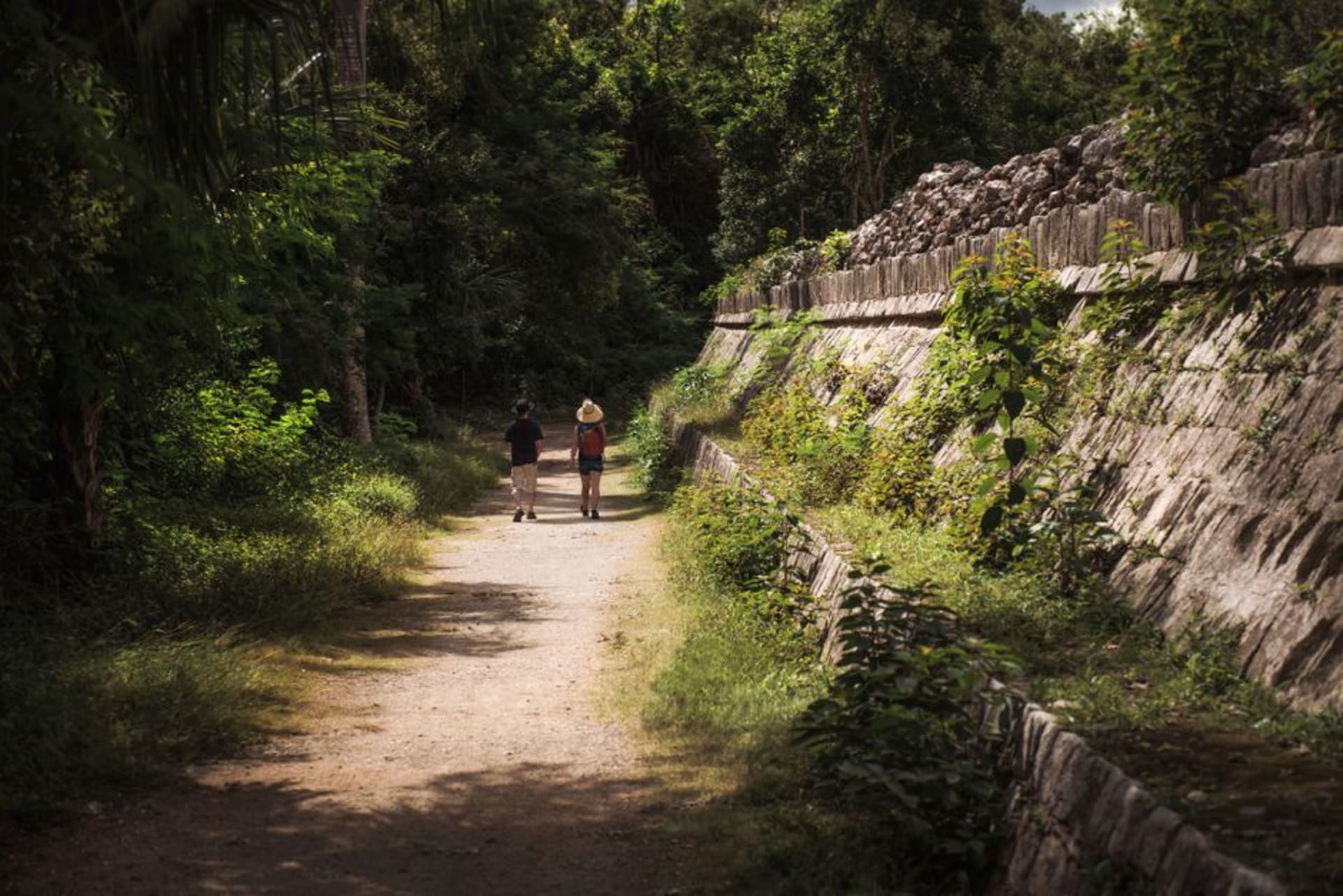 Stone platforms of the Malpasito Zoque ruins half-swallowed by forest in the Tabasco foothills, ceiba roots spreading across ancient carved walls beneath a green canopy
